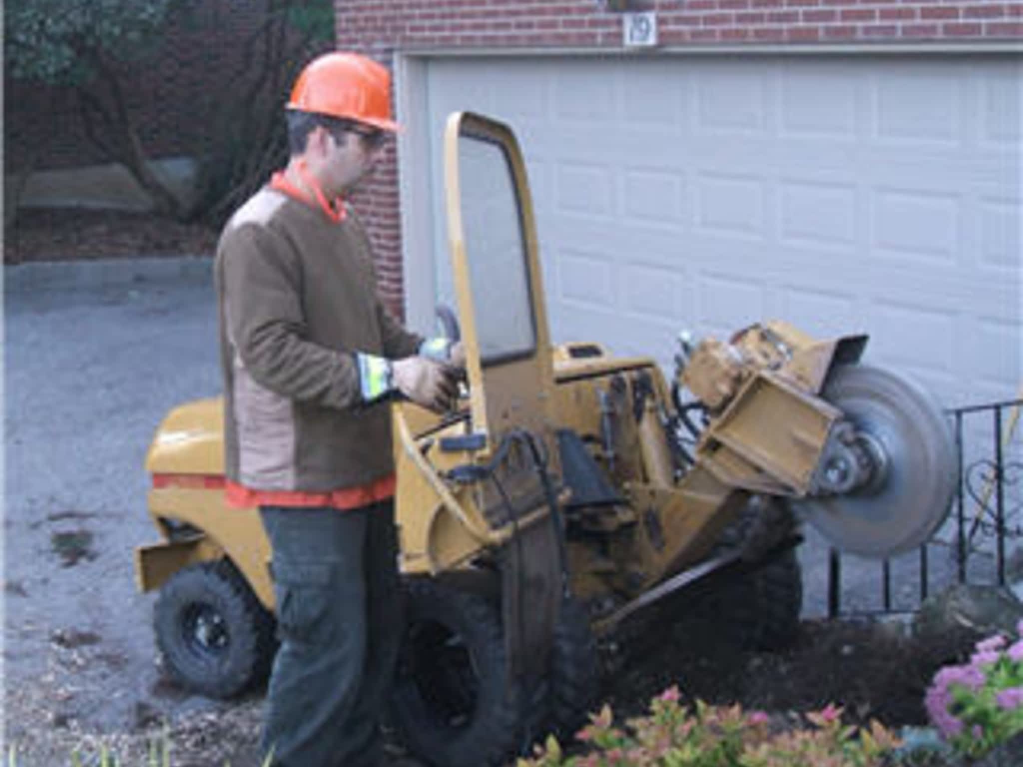 photo Quality Tree Service