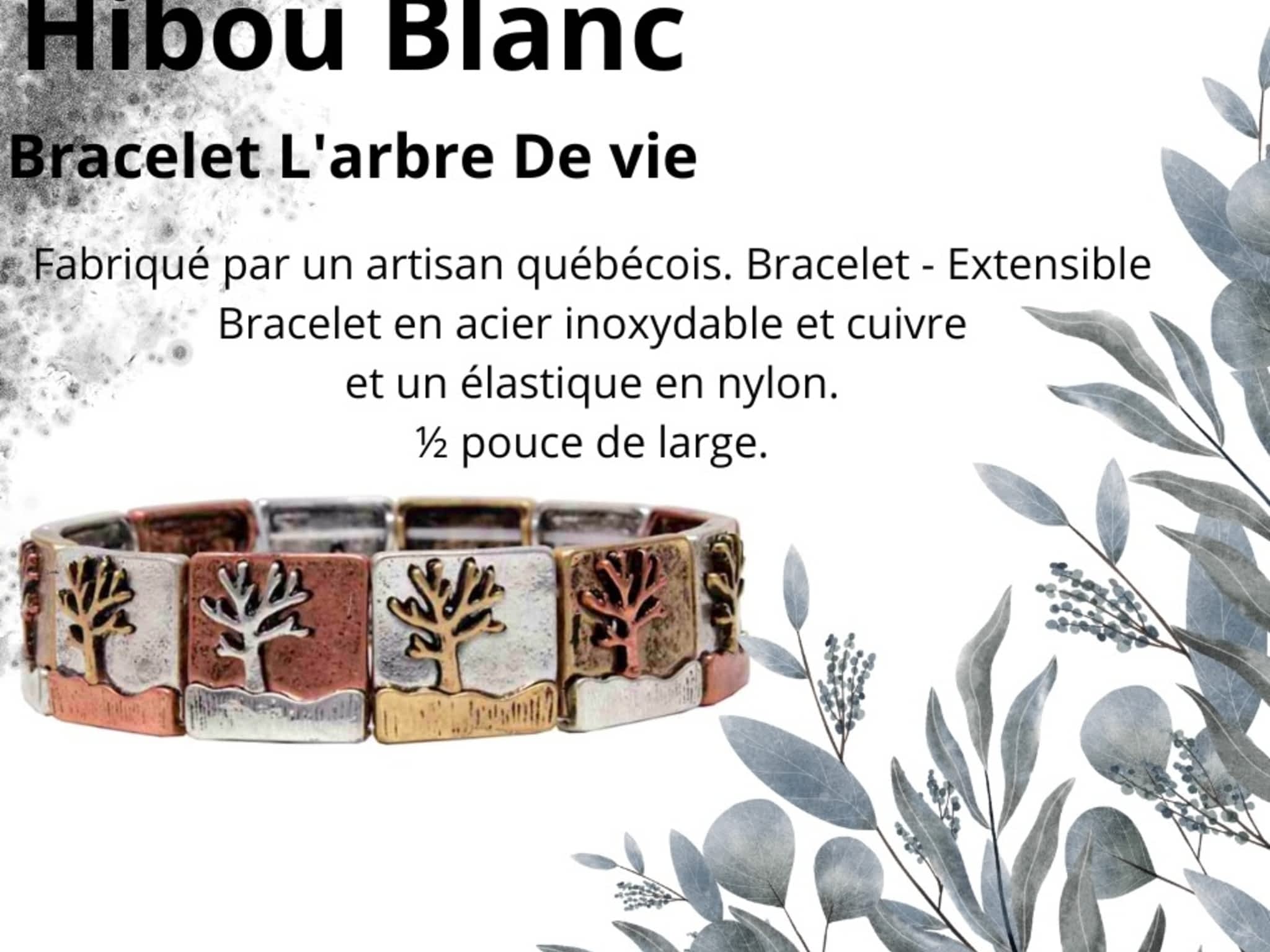 photo Hibou Blanc inc