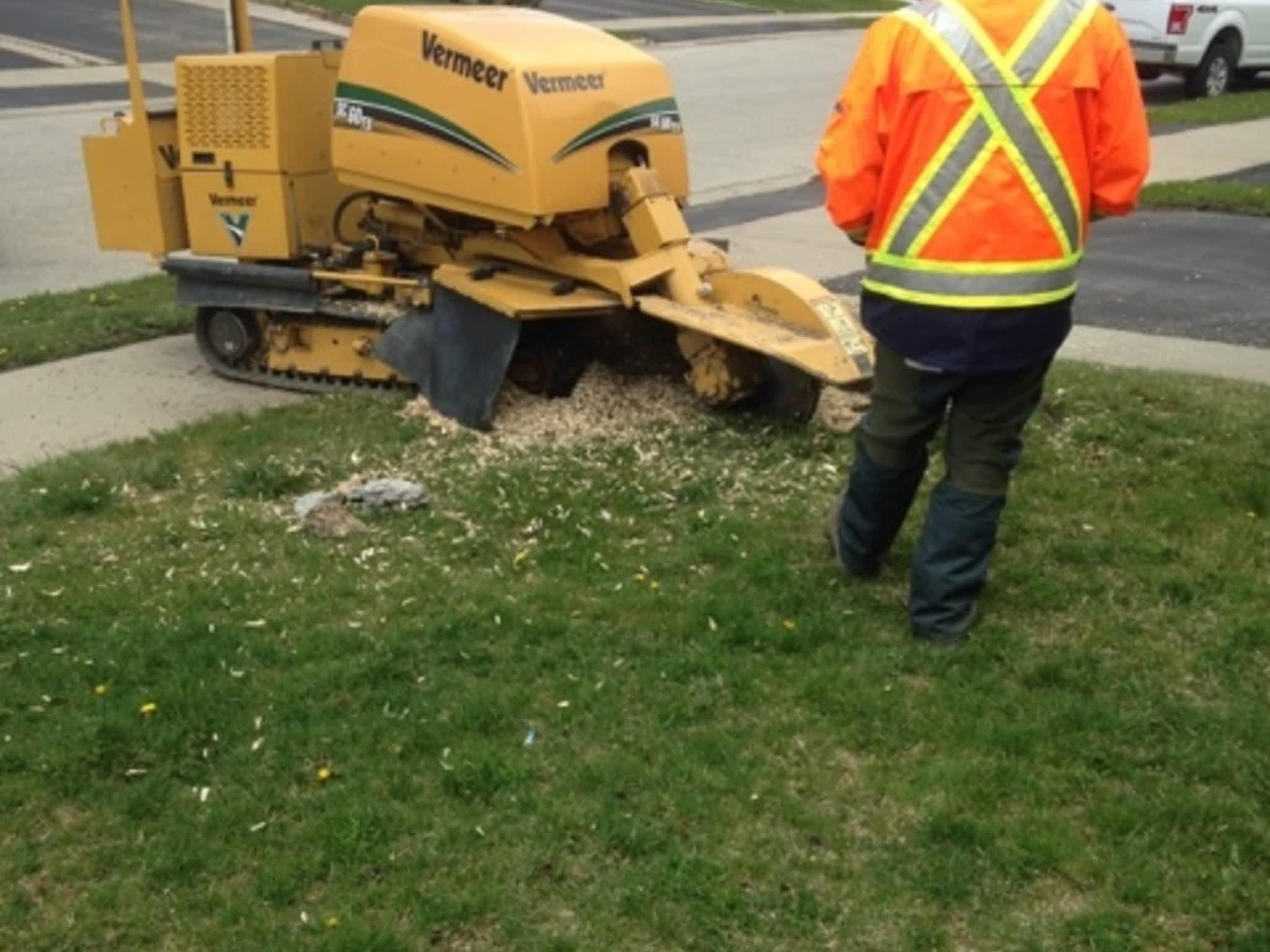 photo Ott's Tree Service