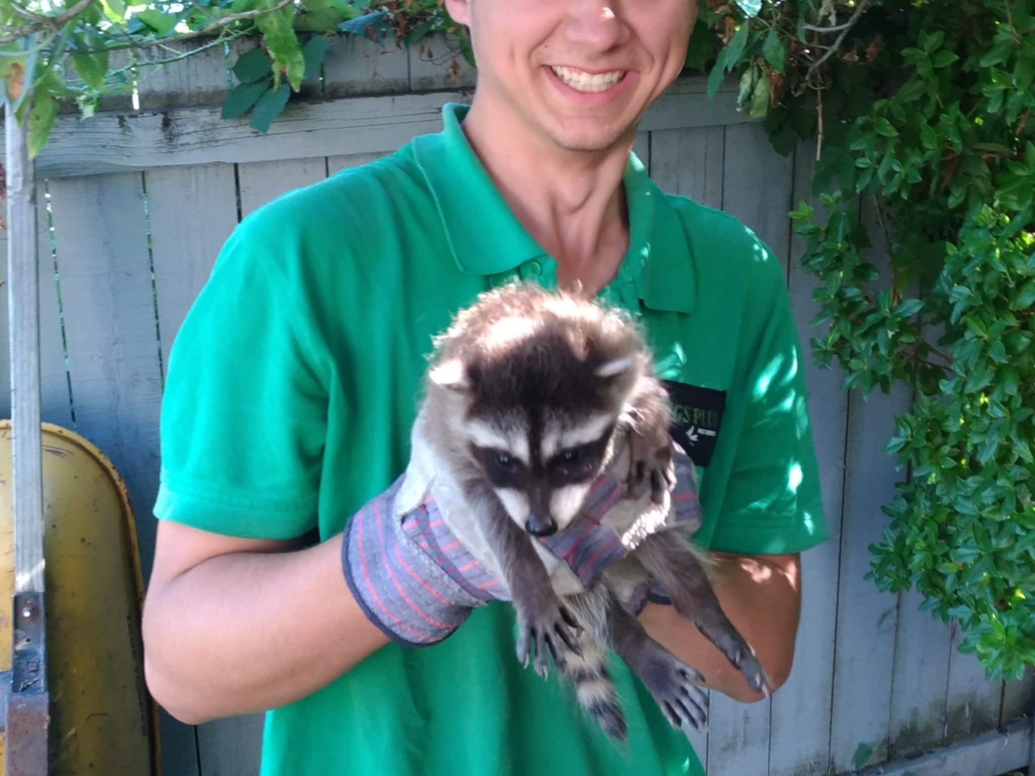 photo Bugs Plus Pest Services