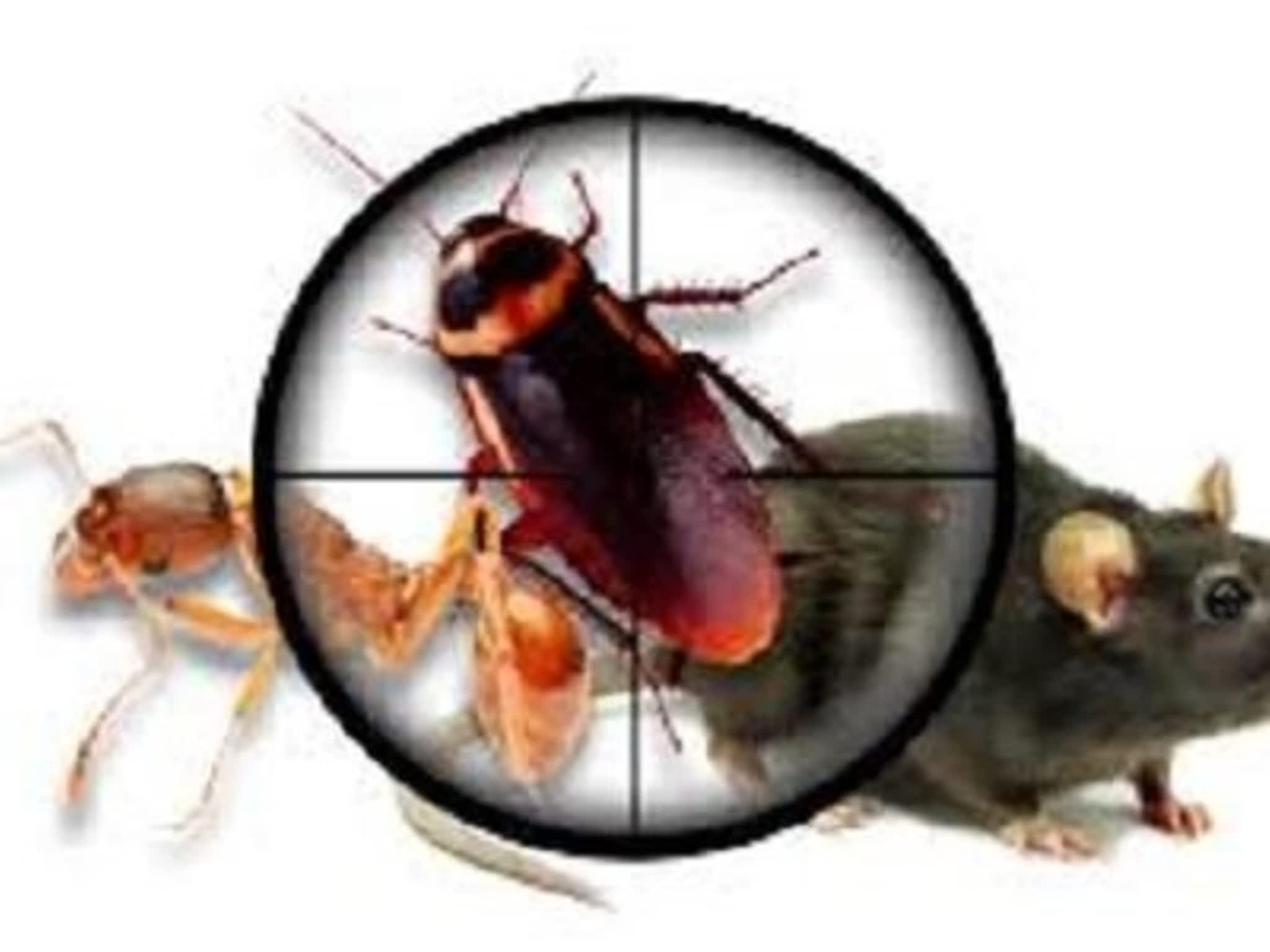 photo Canadian Pest Solutions
