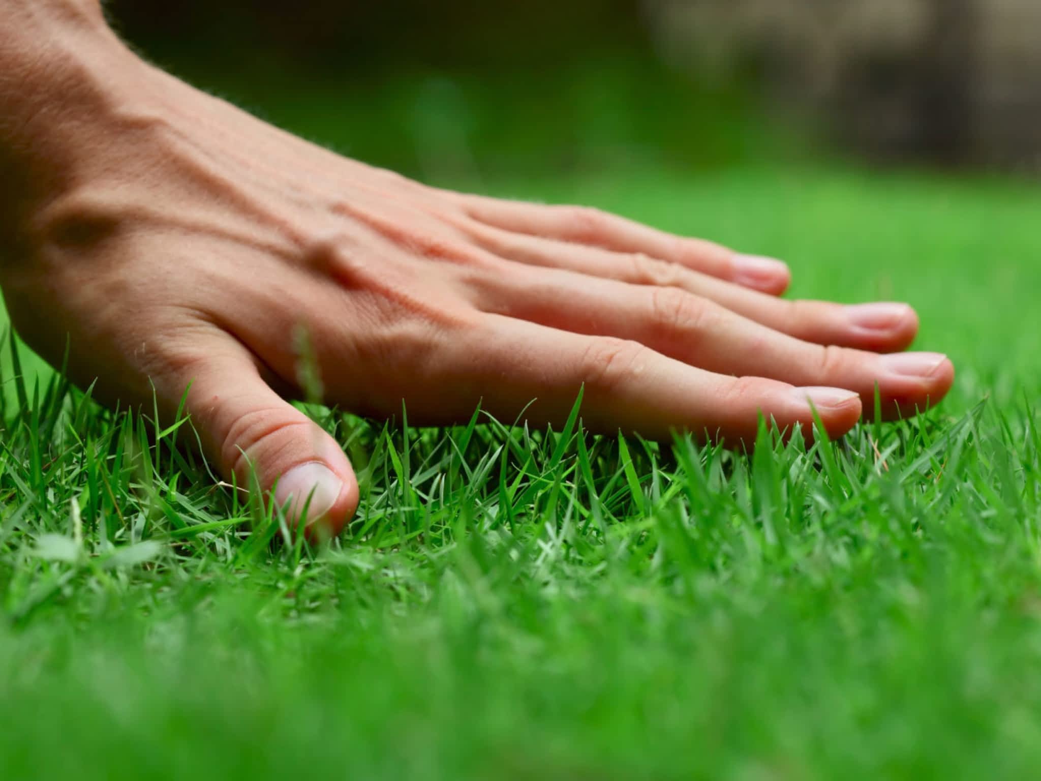 photo Be Yard Smart Inc