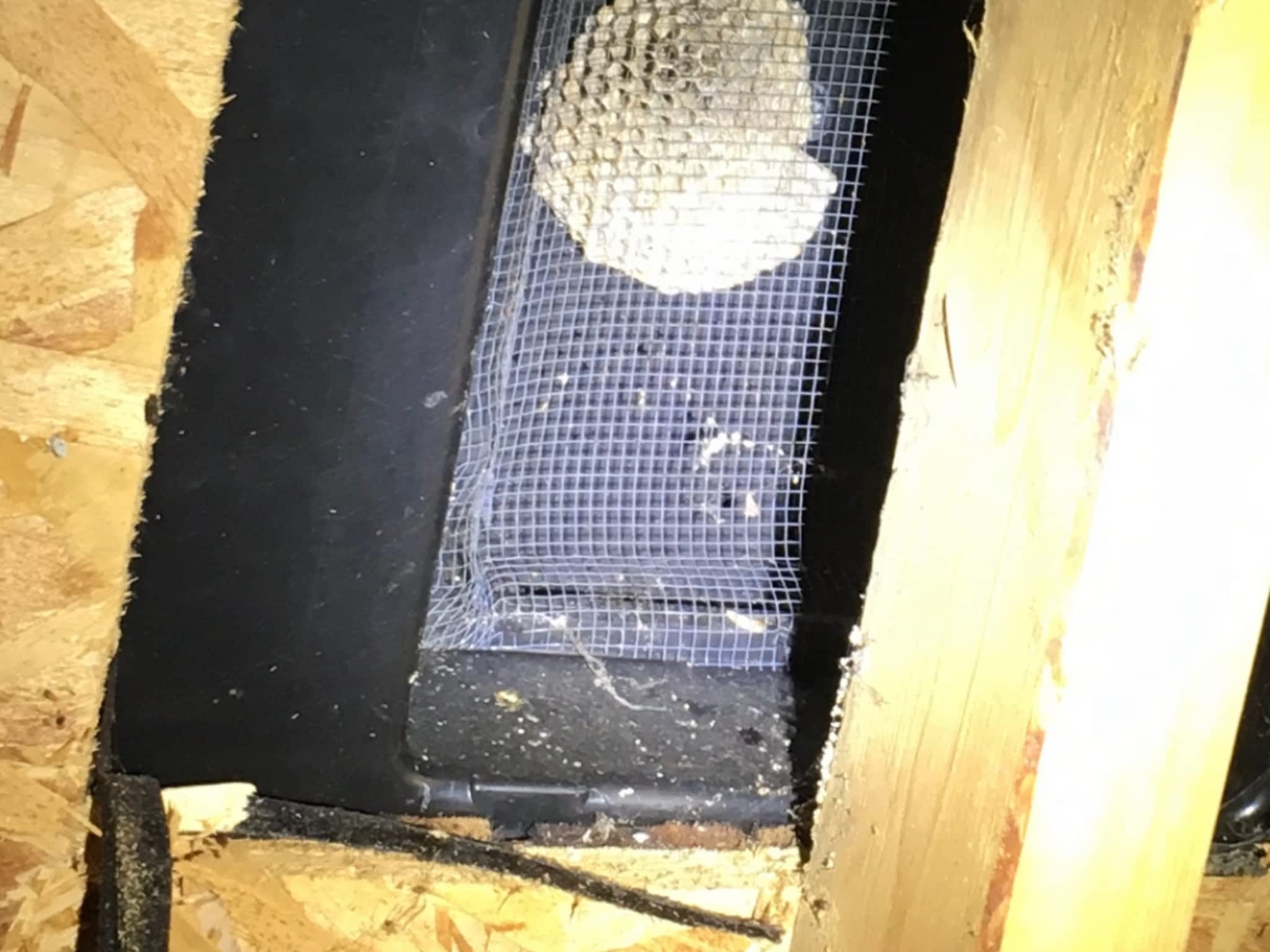 photo Phantom Pest Control Maple Ridge