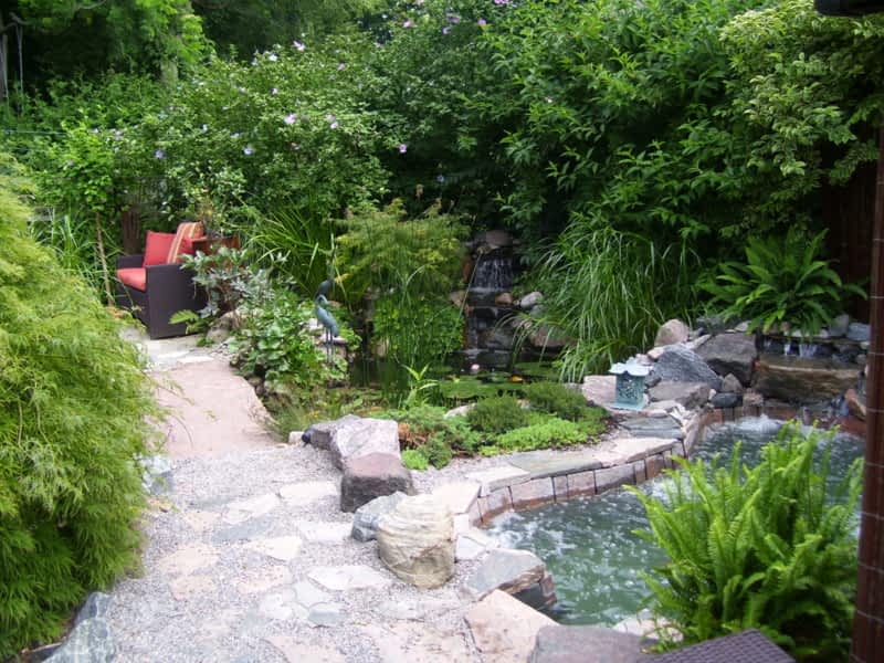 photo Ponds In The City (Indoor & Outdoor Water Garden Specialists)