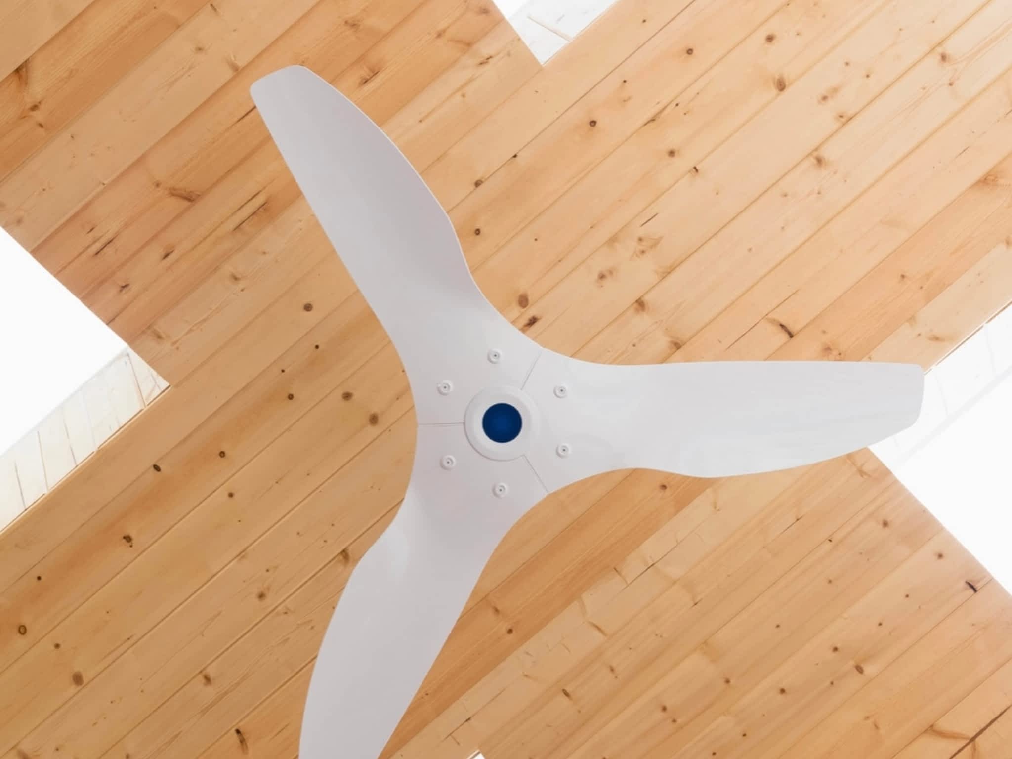 photo Bisco Electrical Contracting Ltd