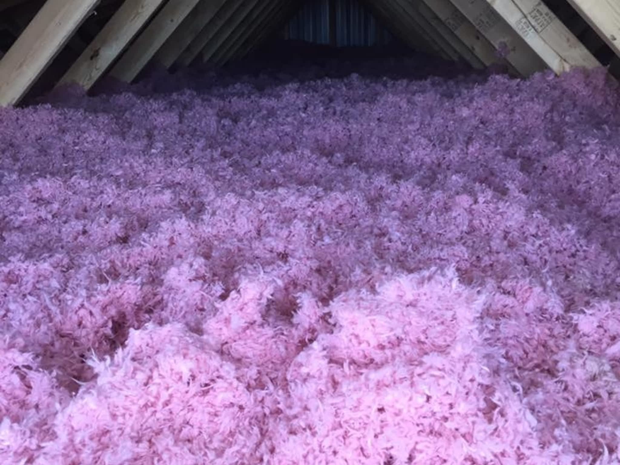 photo Viper Insulation and Eavestroughing