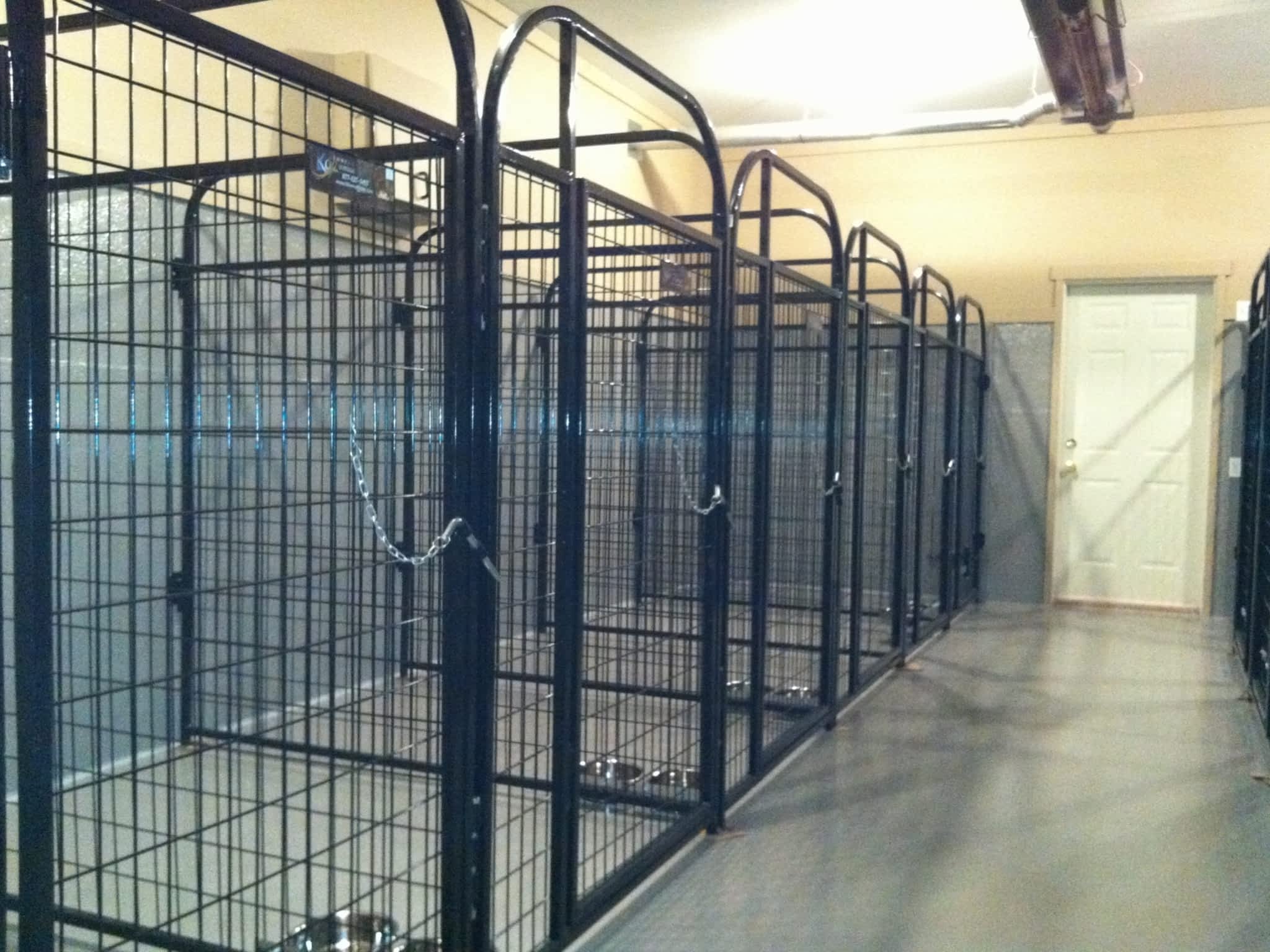 Pampered Pets Boarding and Grooming Fernie, BC 4991 Hwy 3 Canpages