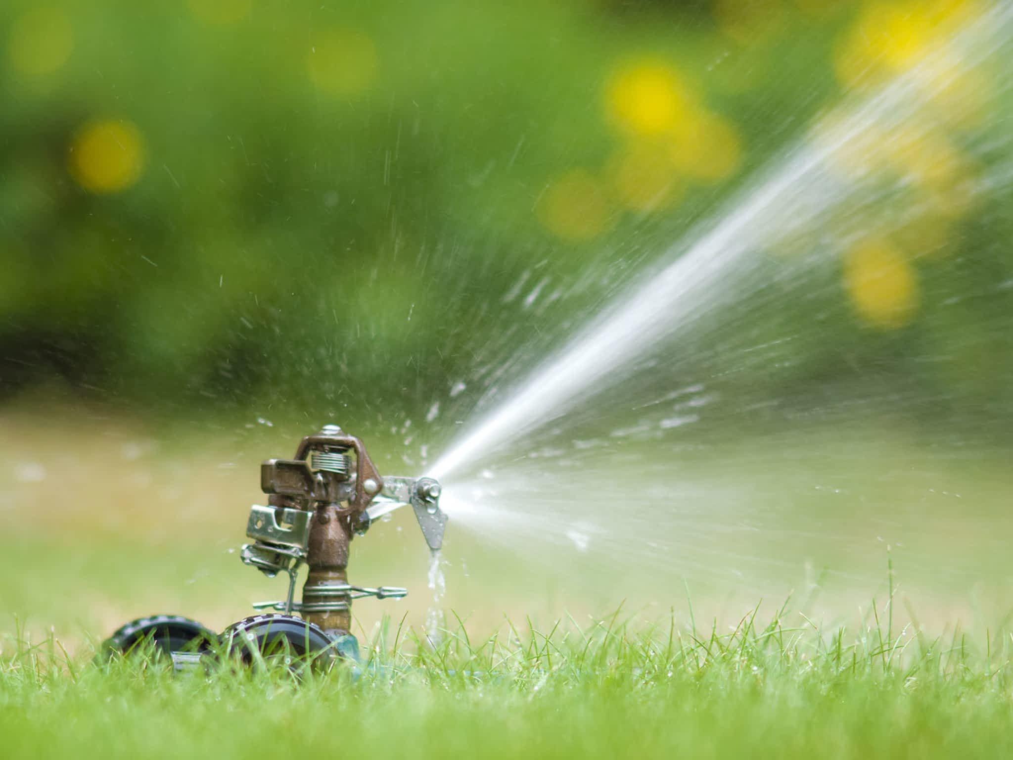 photo Be Yard Smart Inc