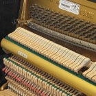 Stinchcombe Stan Piano Tuning