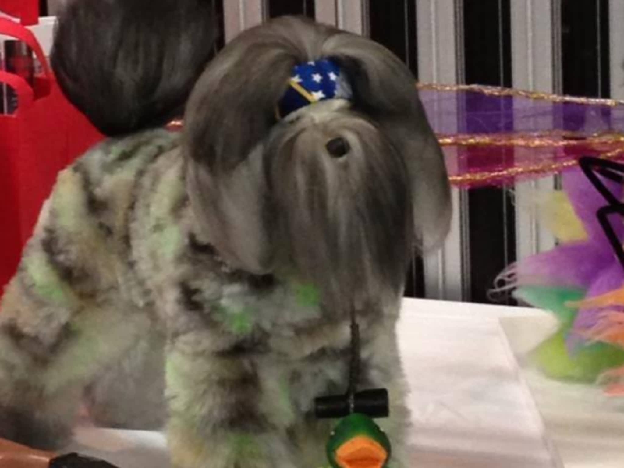 photo Val's Grooming Spa