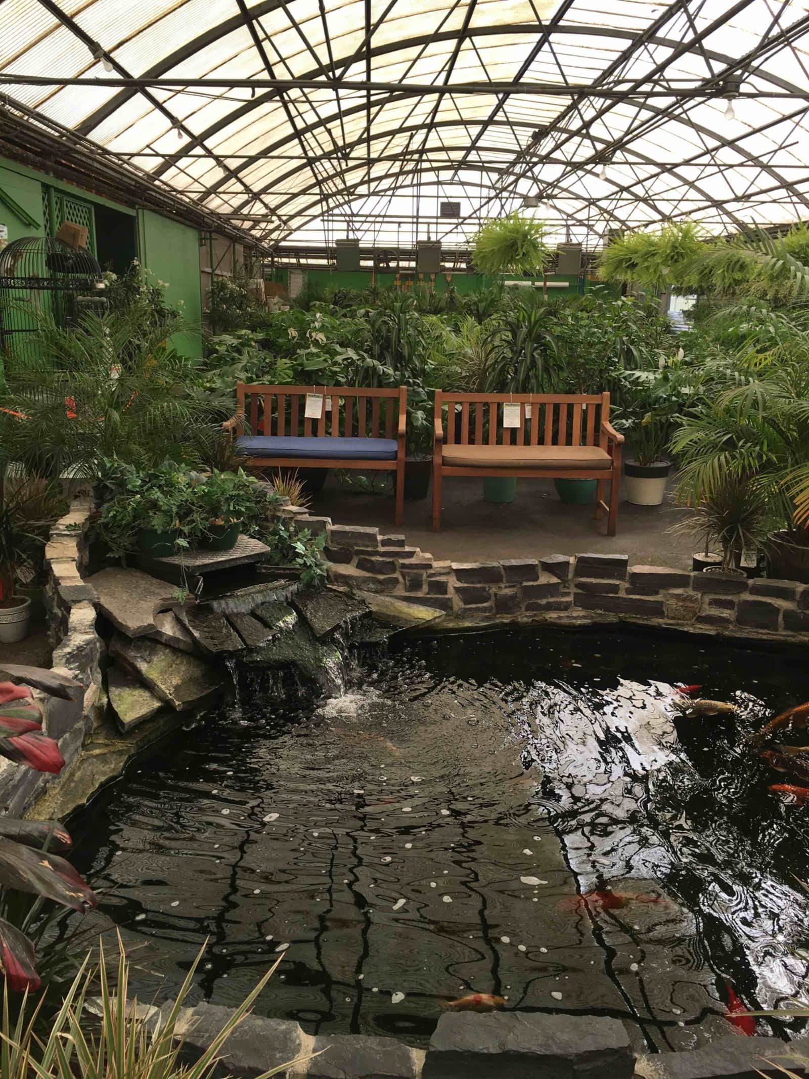 - Pristine Greenhouse In Calgary: Escape The City And Embrace Nature