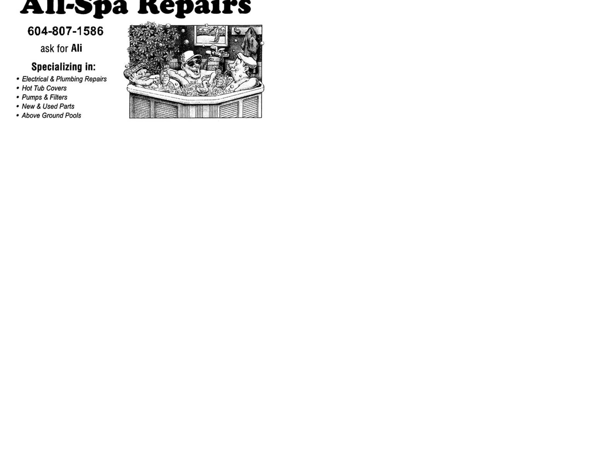 photo All-Spa Repairs