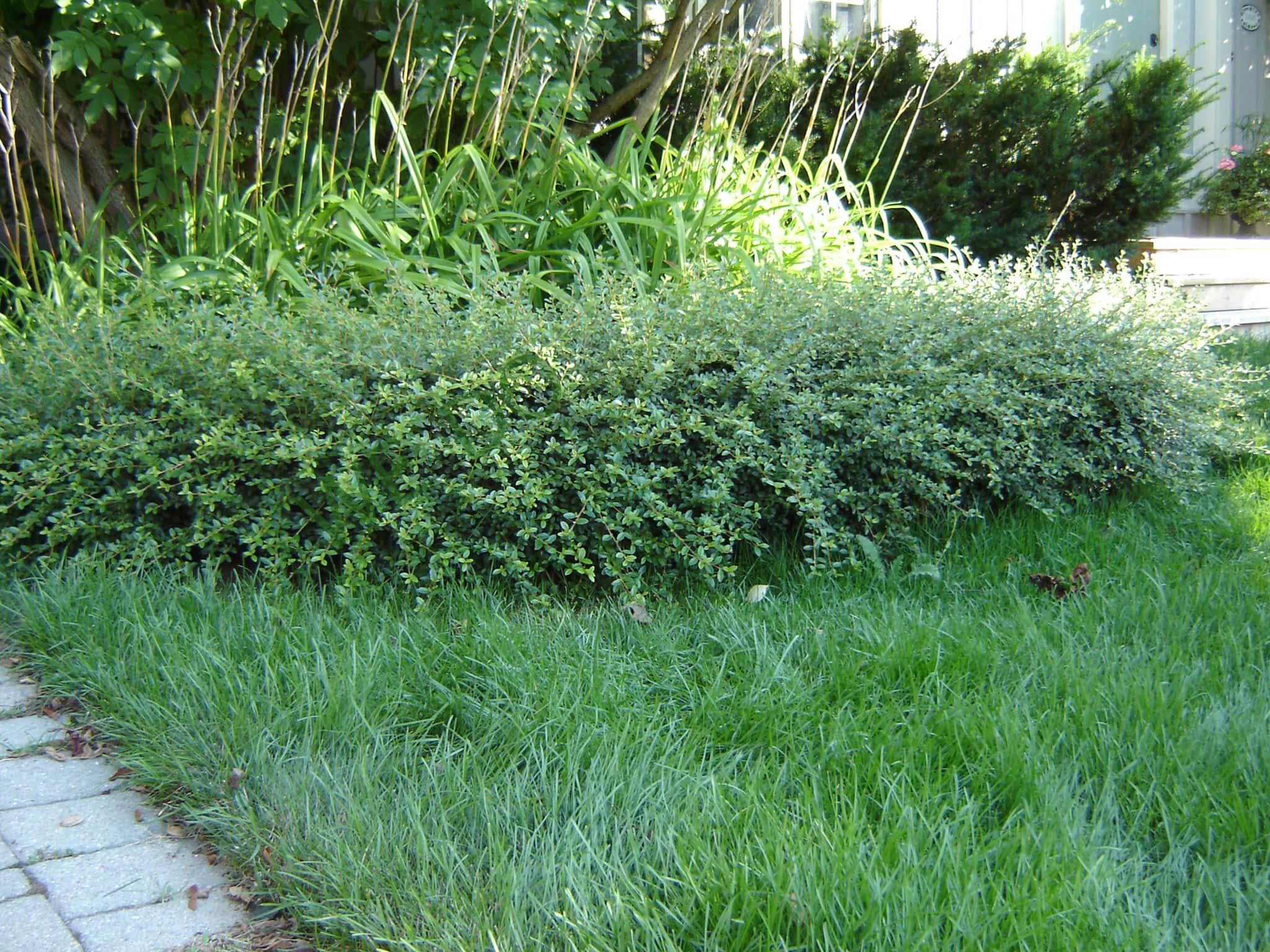 photo WE DO Property Service