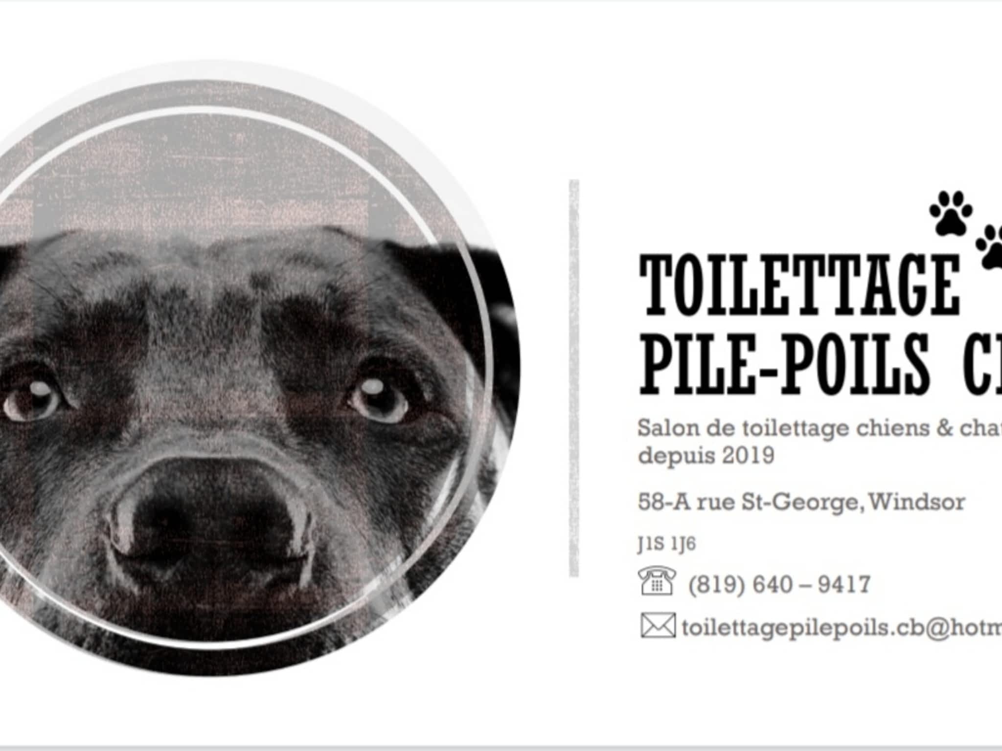 photo Toilettage Pile-Poils CB