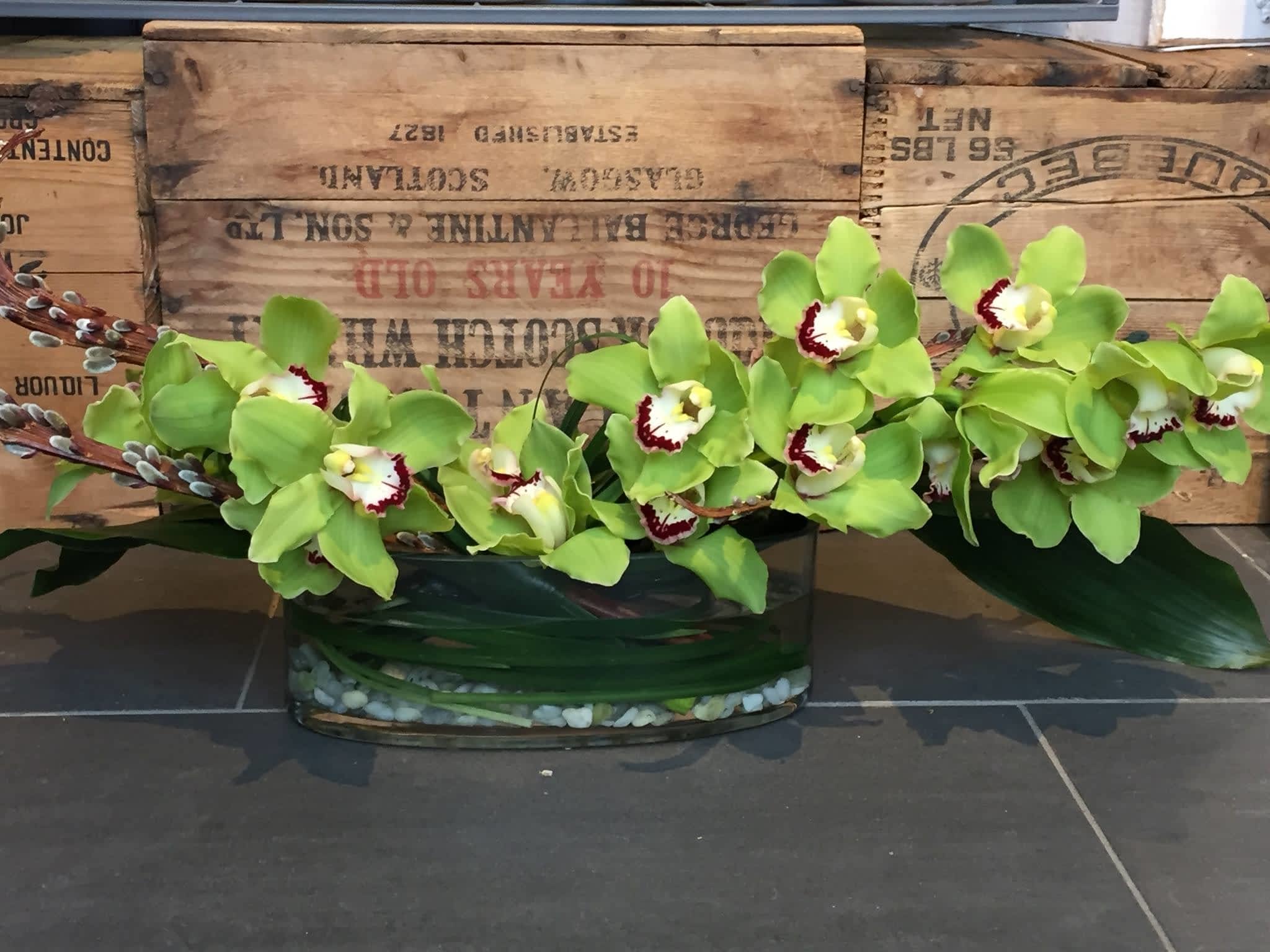 photo Orchid Florist