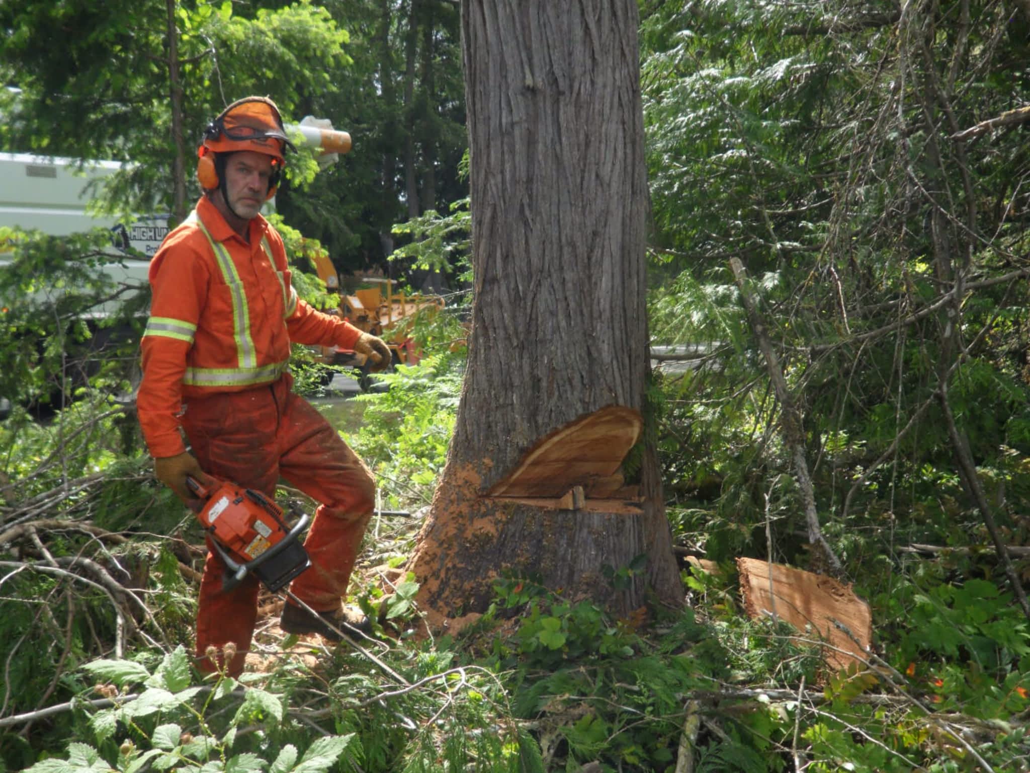 photo High Line Environmental
