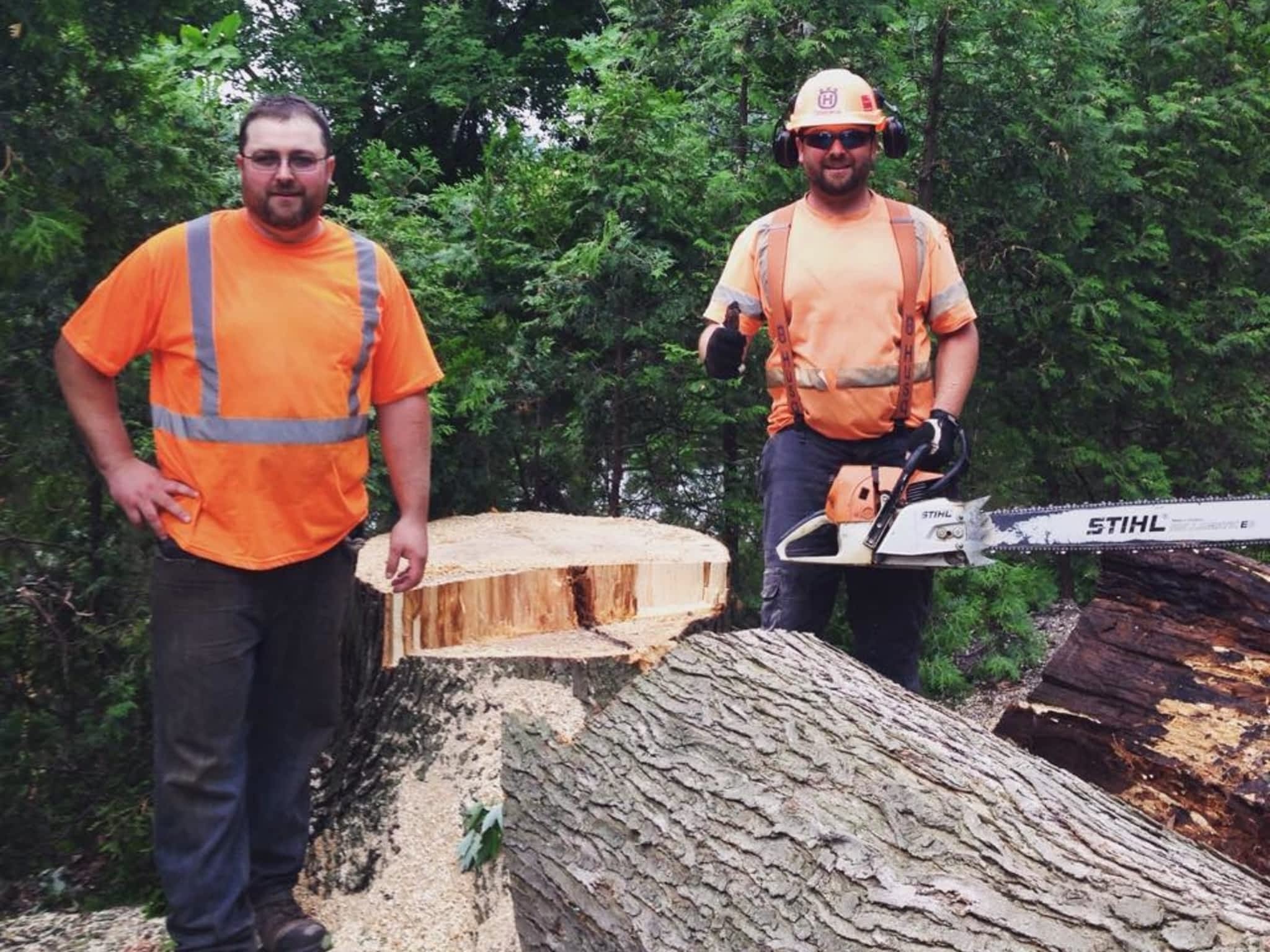 photo Sydenham Tree Service