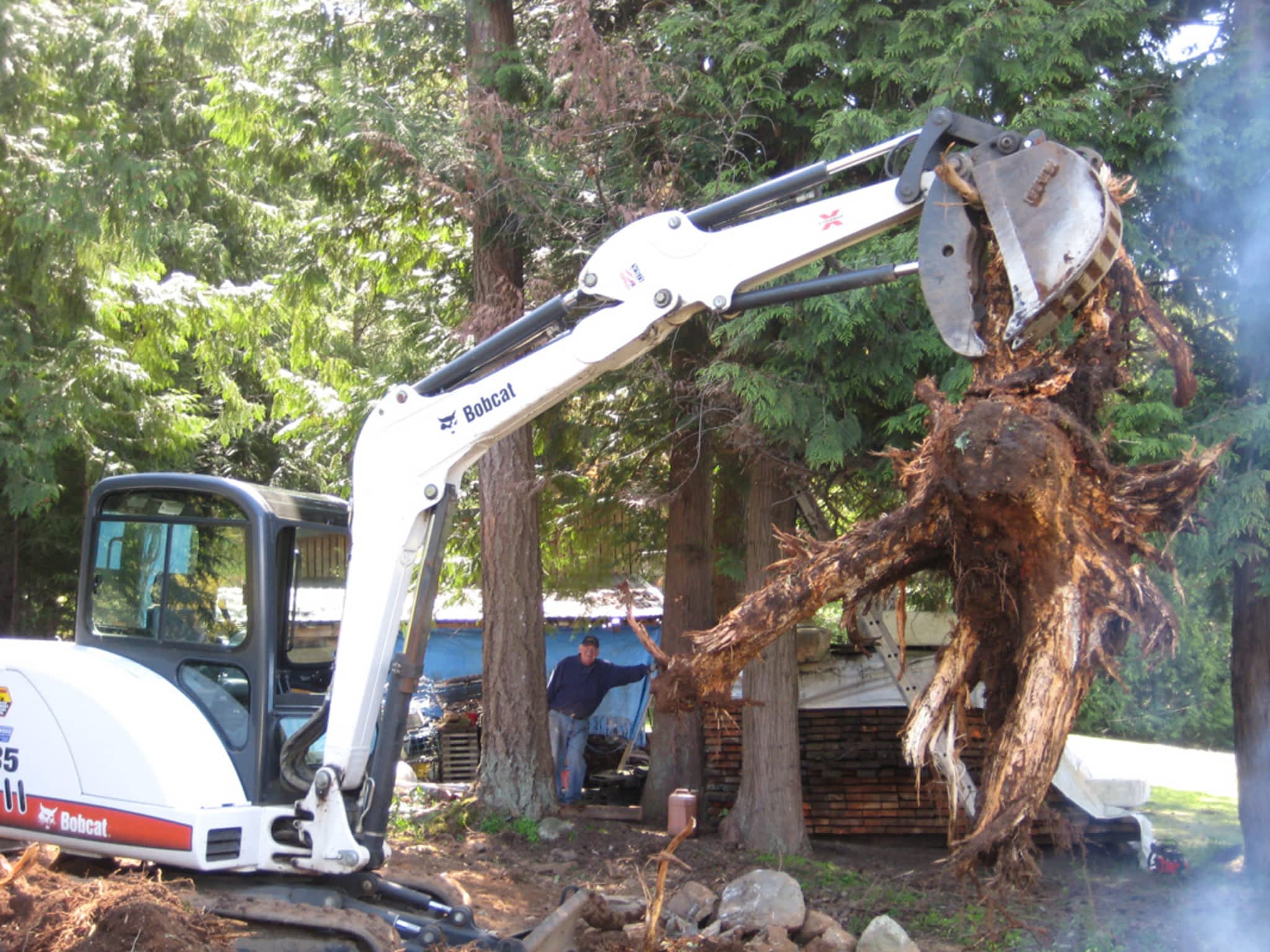 photo Calgary Tree Services Ltd