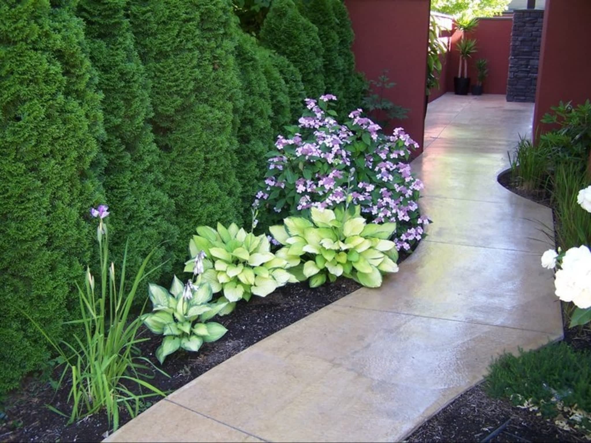 photo Synergy Landscape Design Ltd