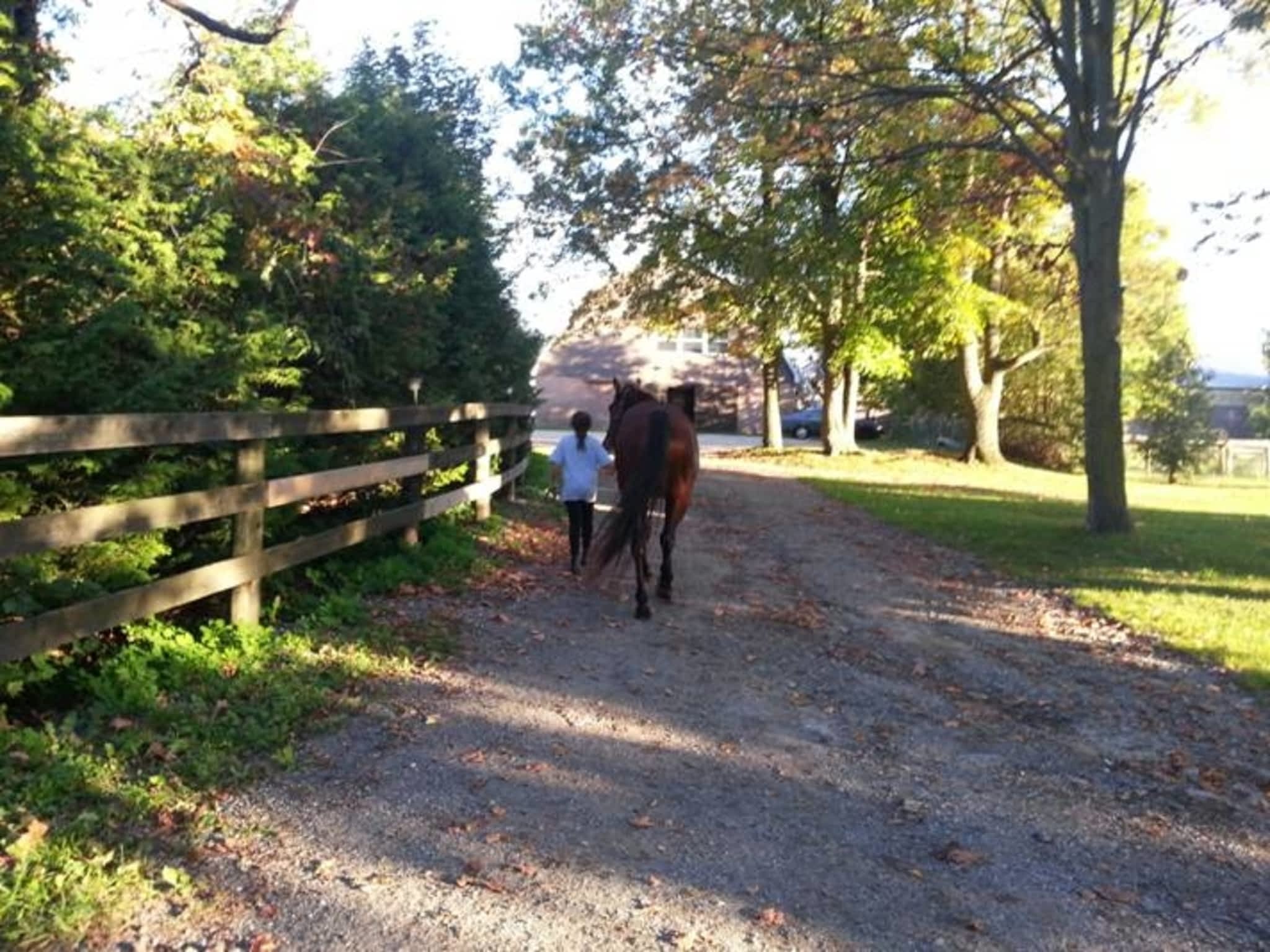 photo Fire Fly Stables