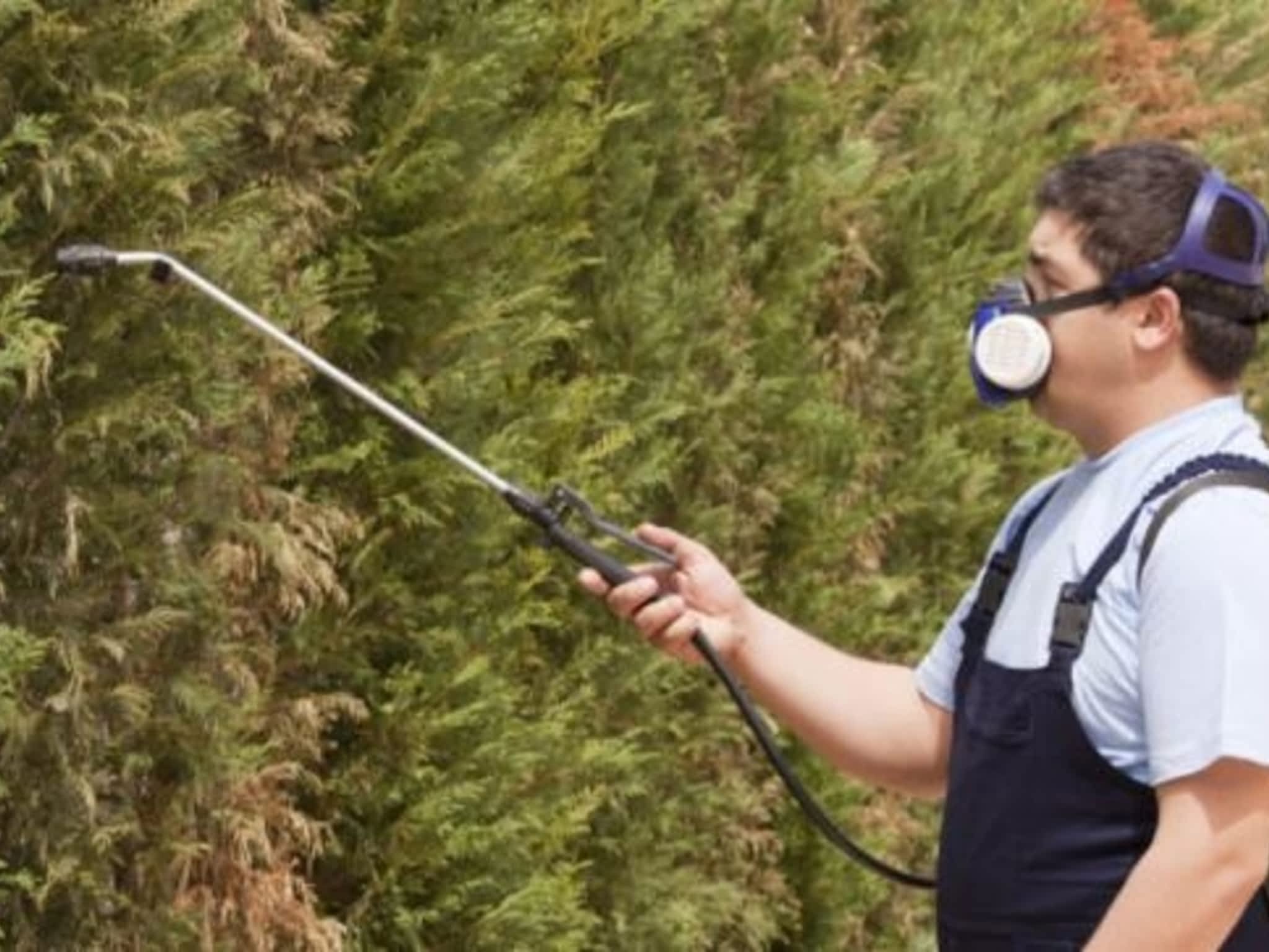 photo Extermination Dynamique