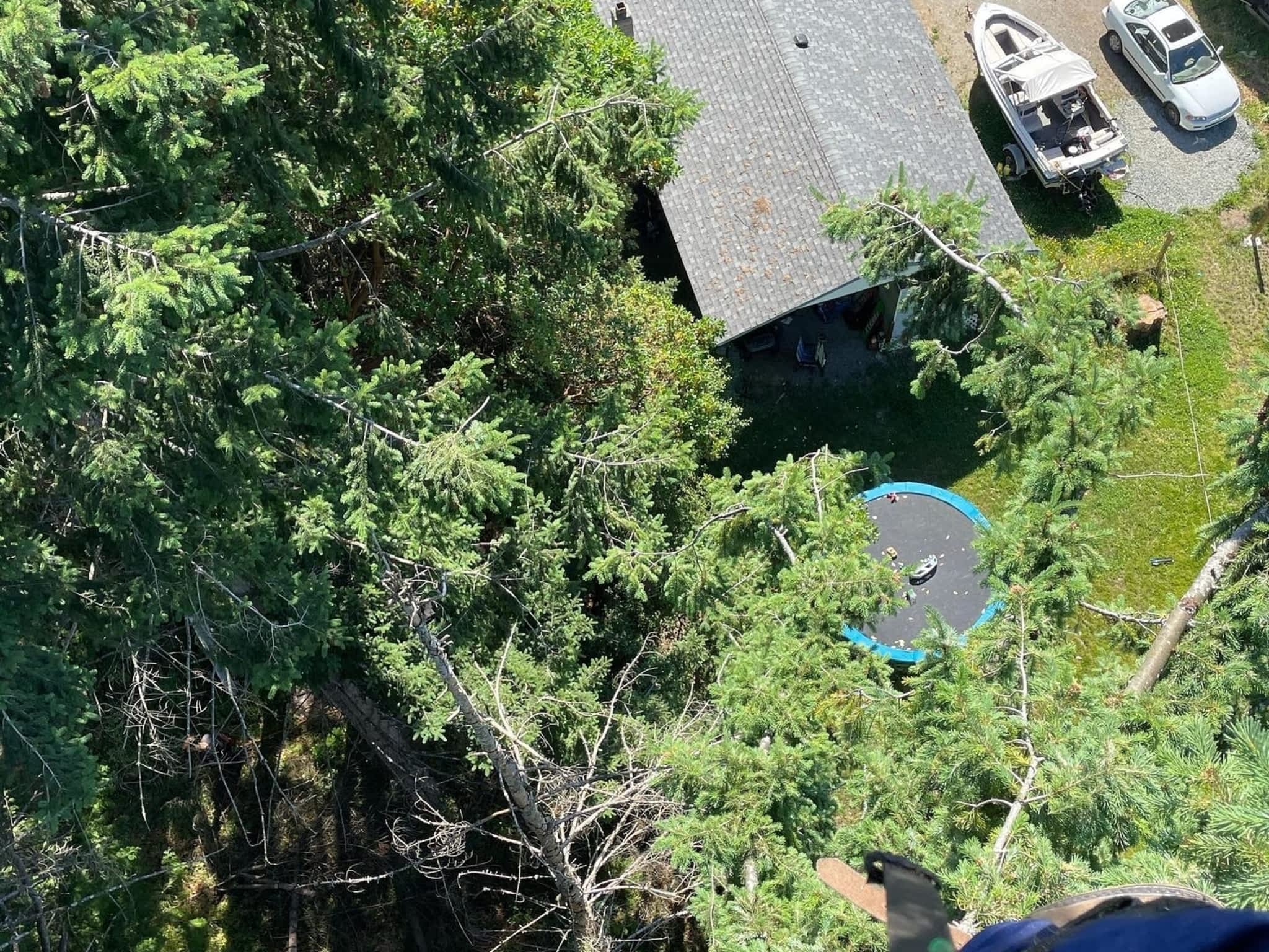 photo Flex Tree Service