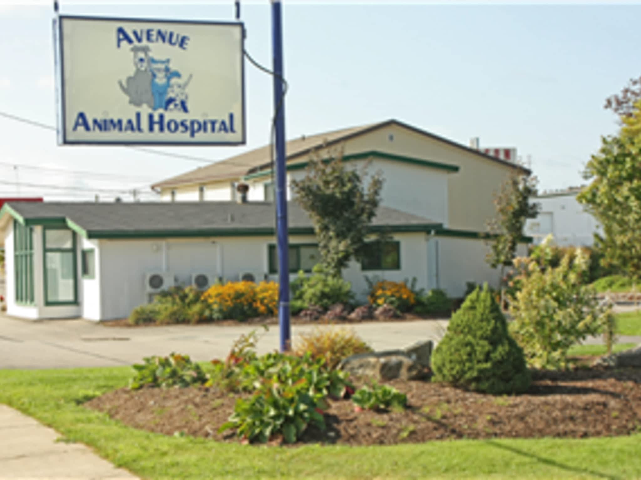 photo Avenue Animal Hospital Ltd