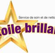 Service De Soins Et De Nettoyage Etoile Brillante Opening Hours 3390 Rue Goyer Montreal Qc