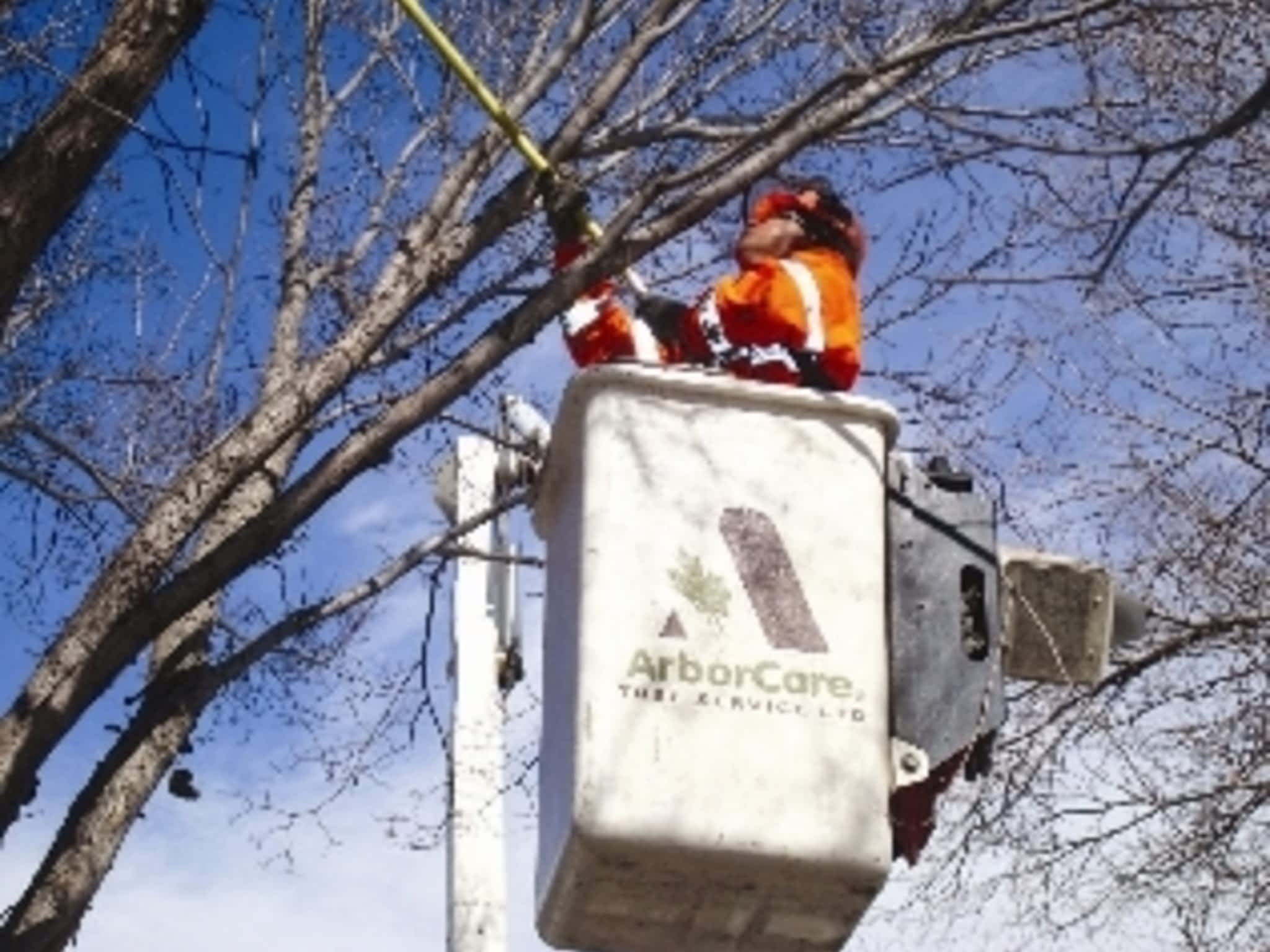 photo ArborCare Tree Service
