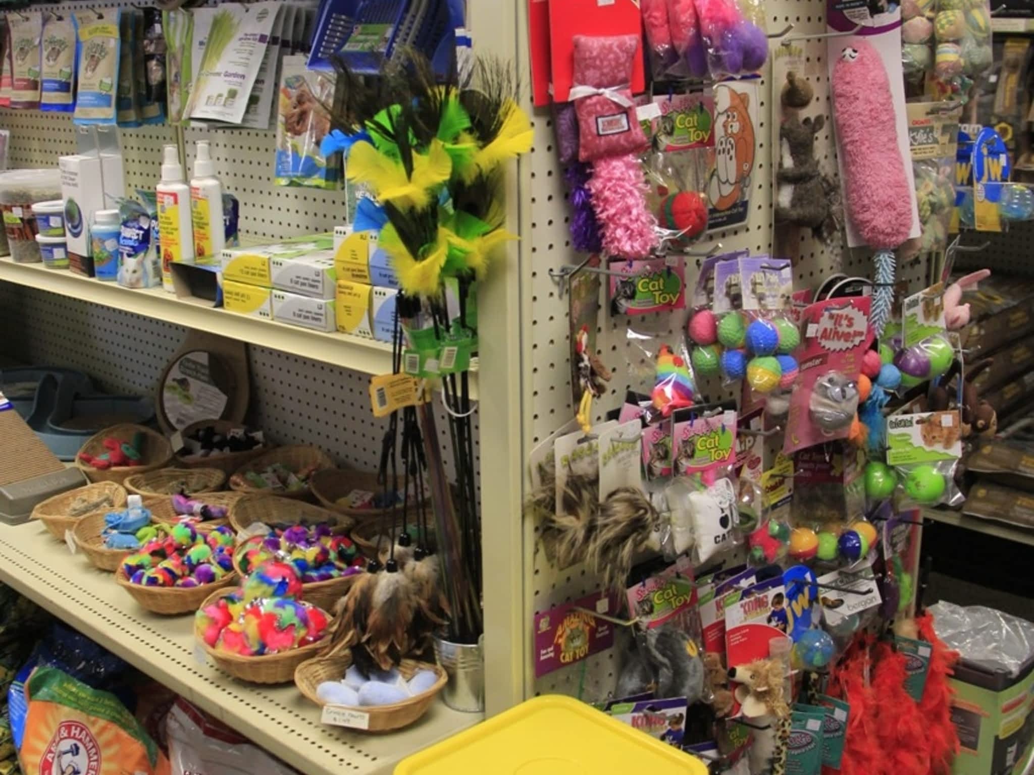 photo Chow Time Pet Supply