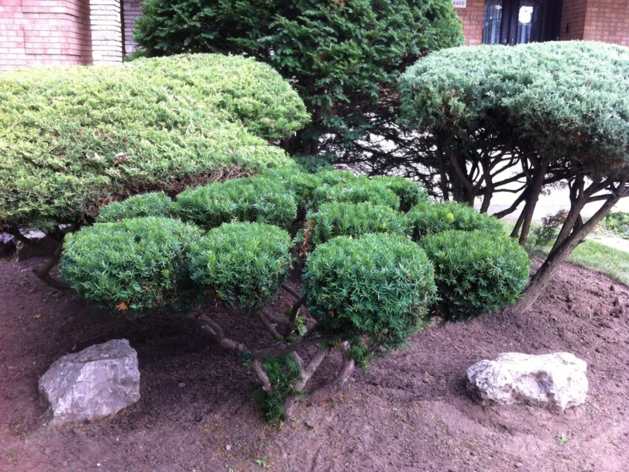 photo Shoreacres Landscaping