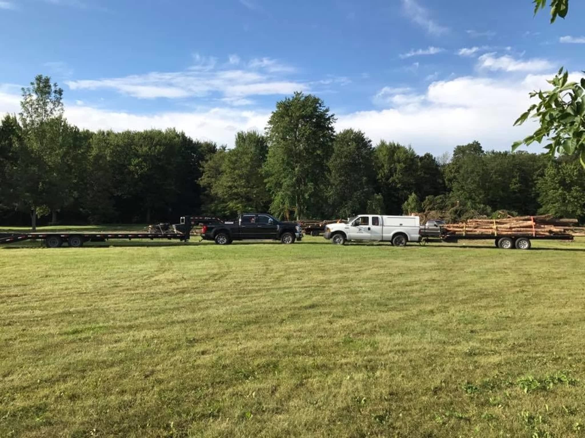 photo Redneck Tree Removal