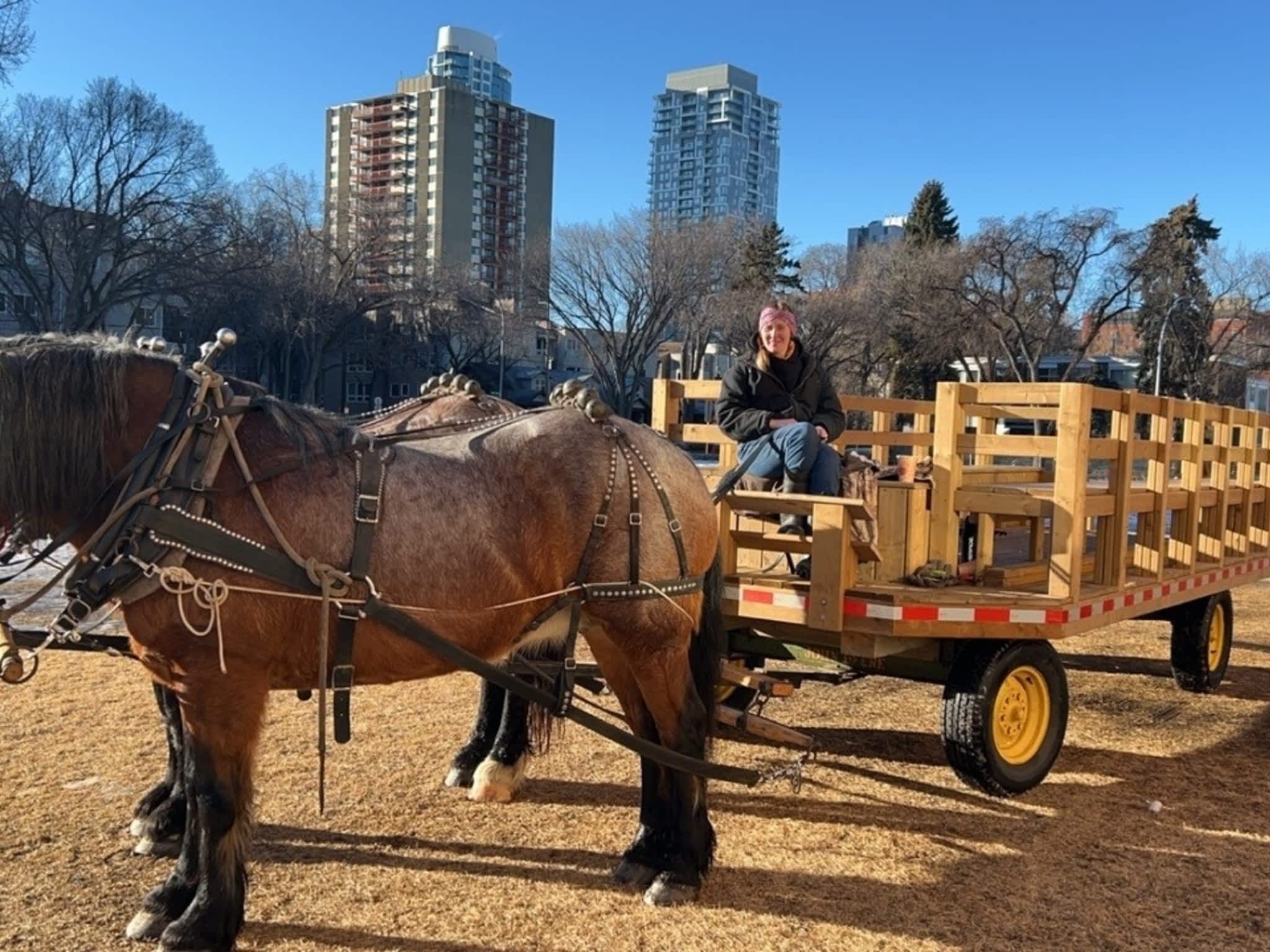 photo Lonestar Ranch Wagons & Sleighs