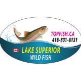 Voir le profil de Top fish - York