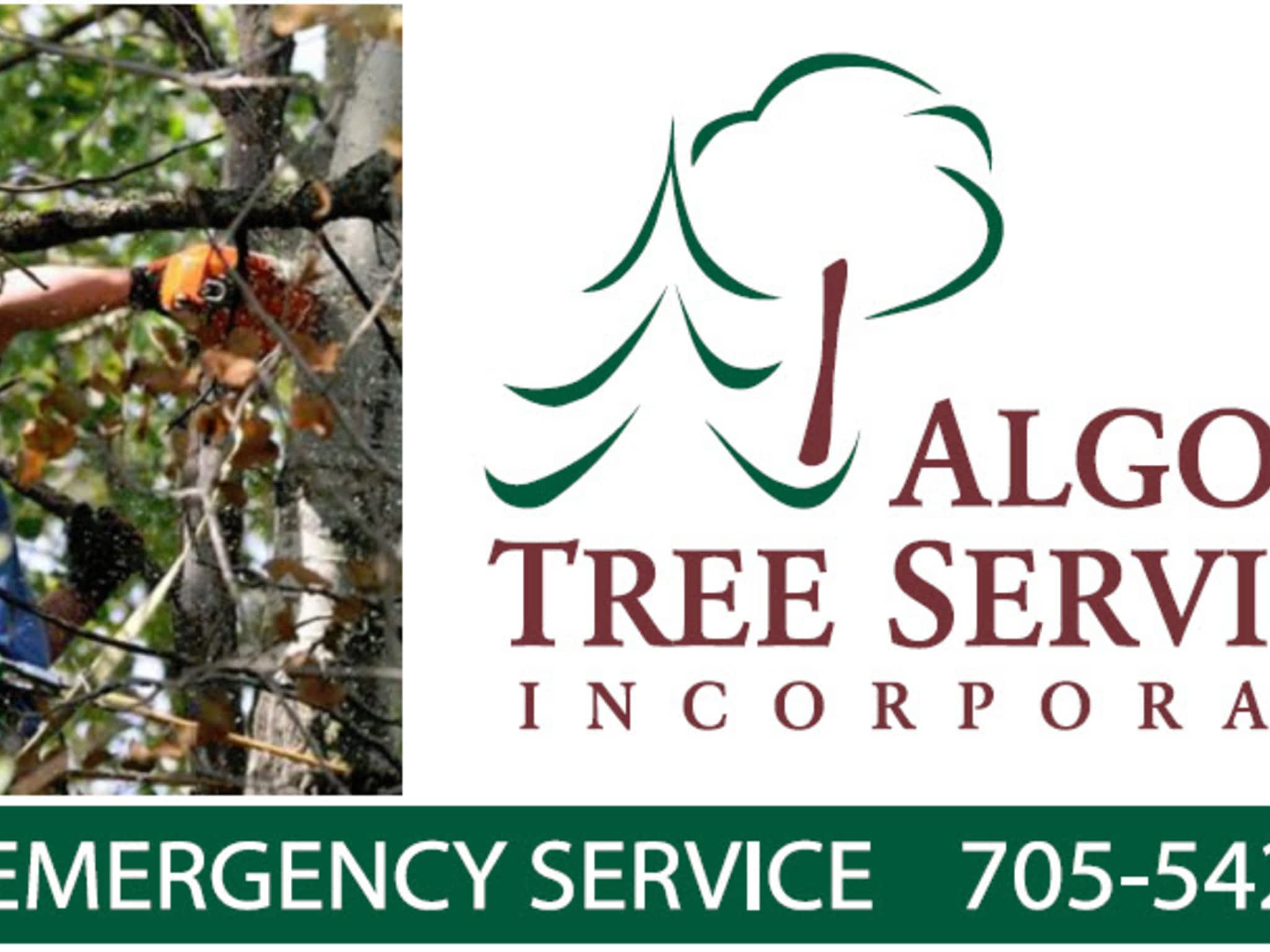 photo Algoma Tree Services