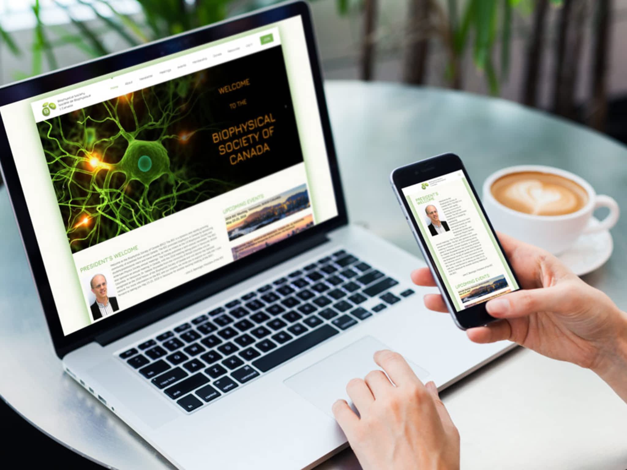 photo CryoDragon Inc