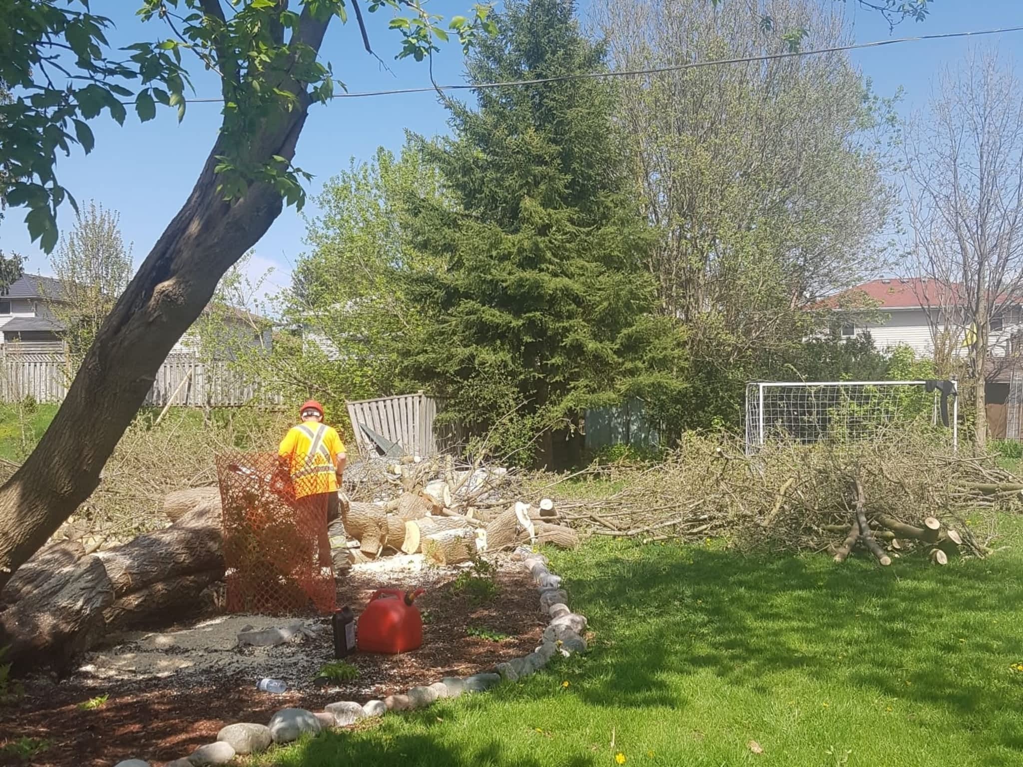 photo Wright's Tree Care