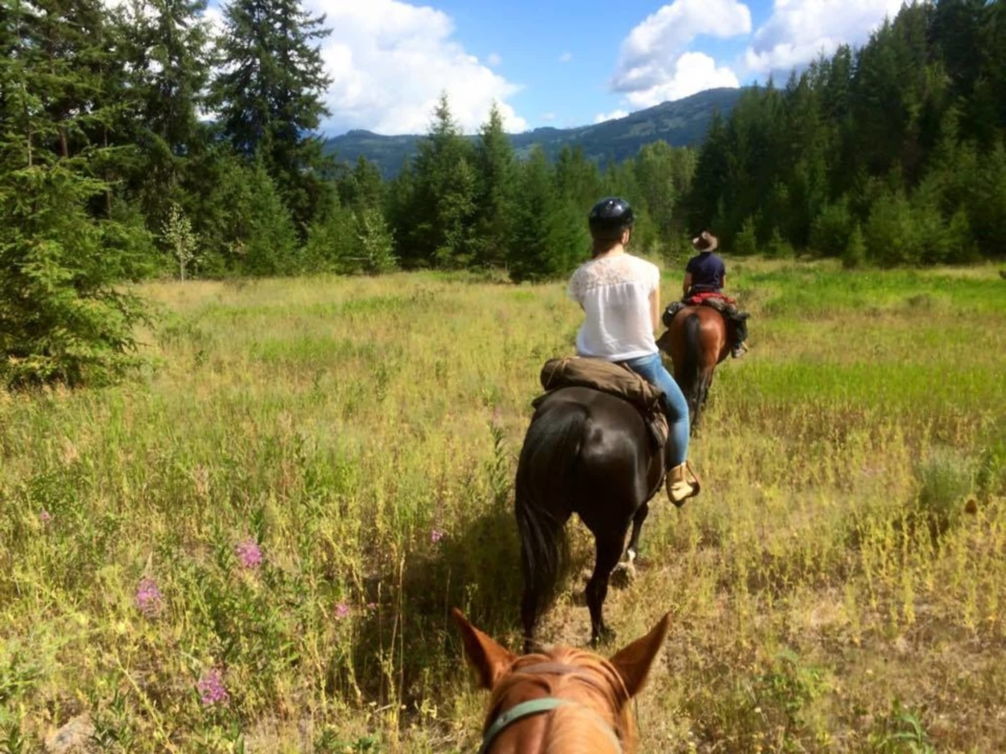 photo Vavenby Trail Rides (The Shook Ranch)