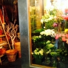 Fauchois Fleurs - Florists & Flower Shops