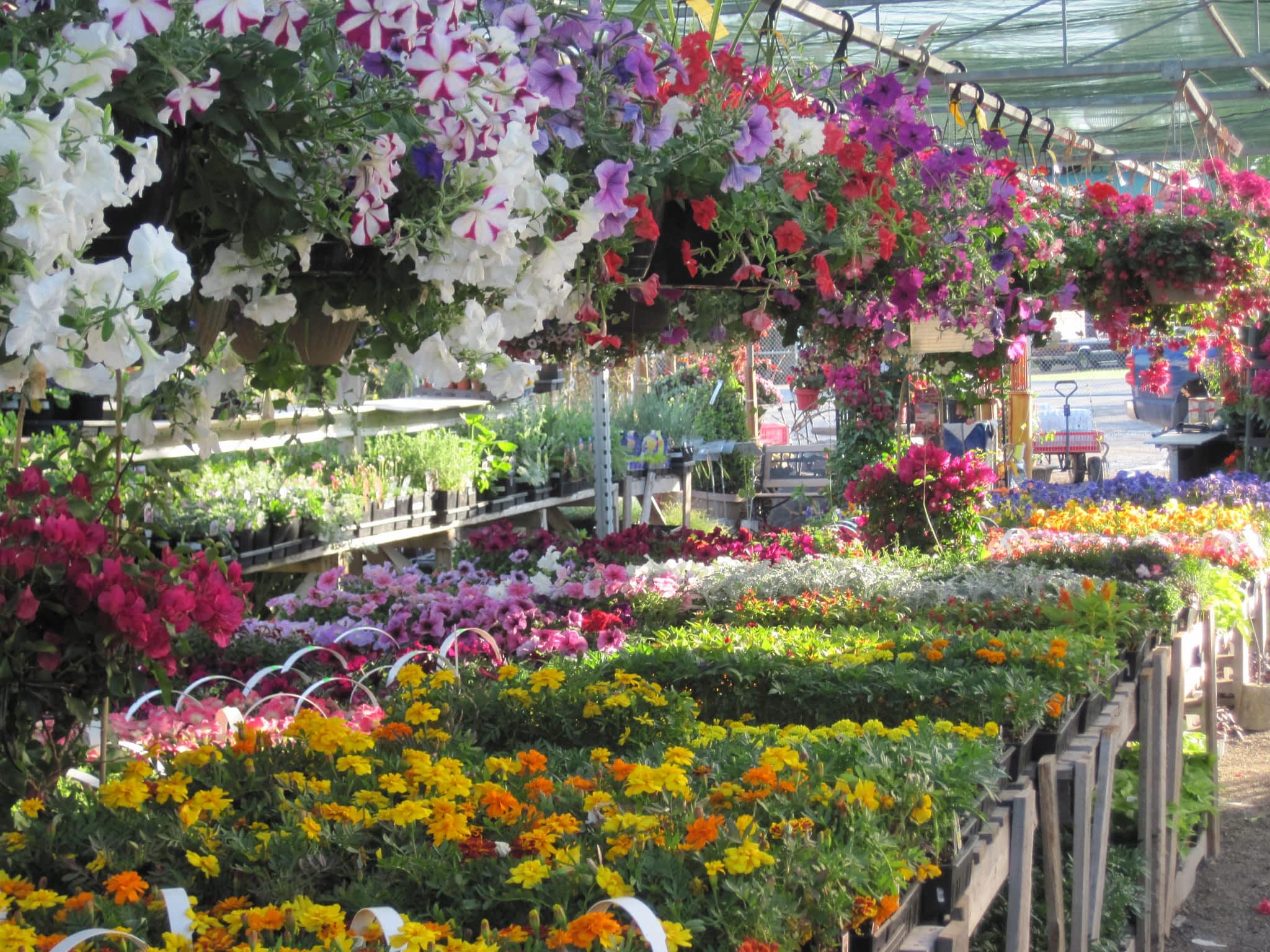 photo Peterborough Landscape Supply