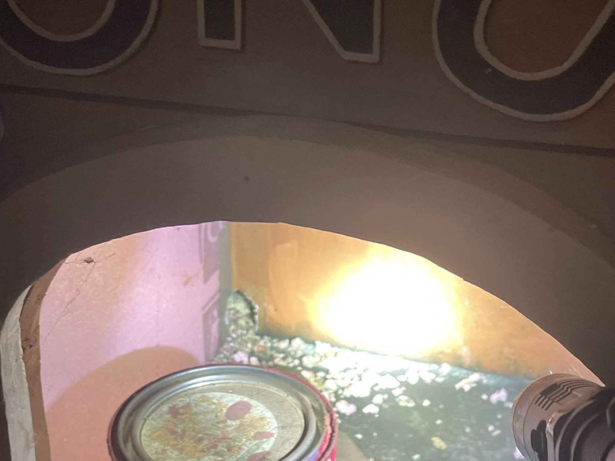 photo Phantom Pest Control Maple Ridge