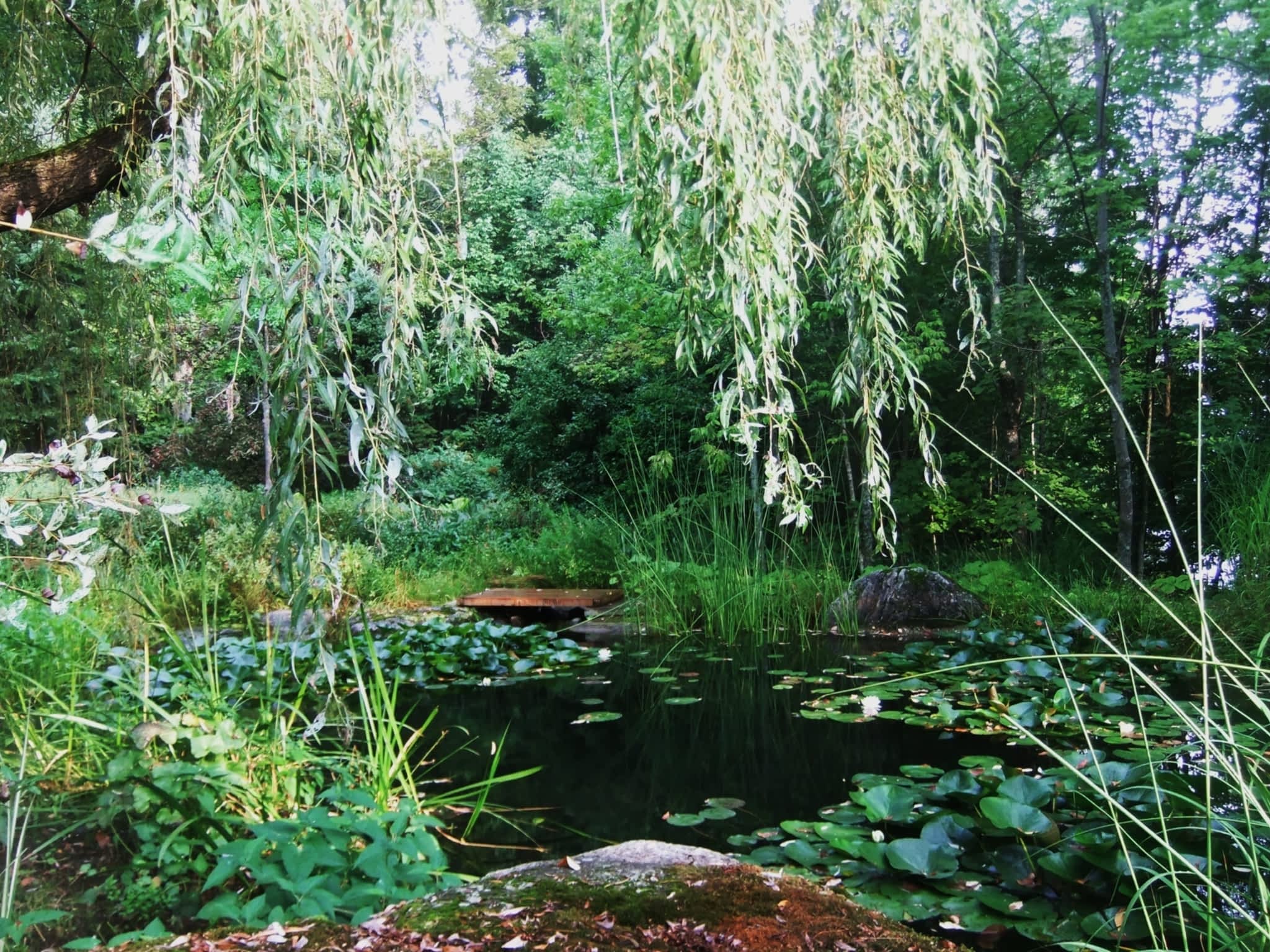 photo Horticulture Jardinarium Liza Rodrigue