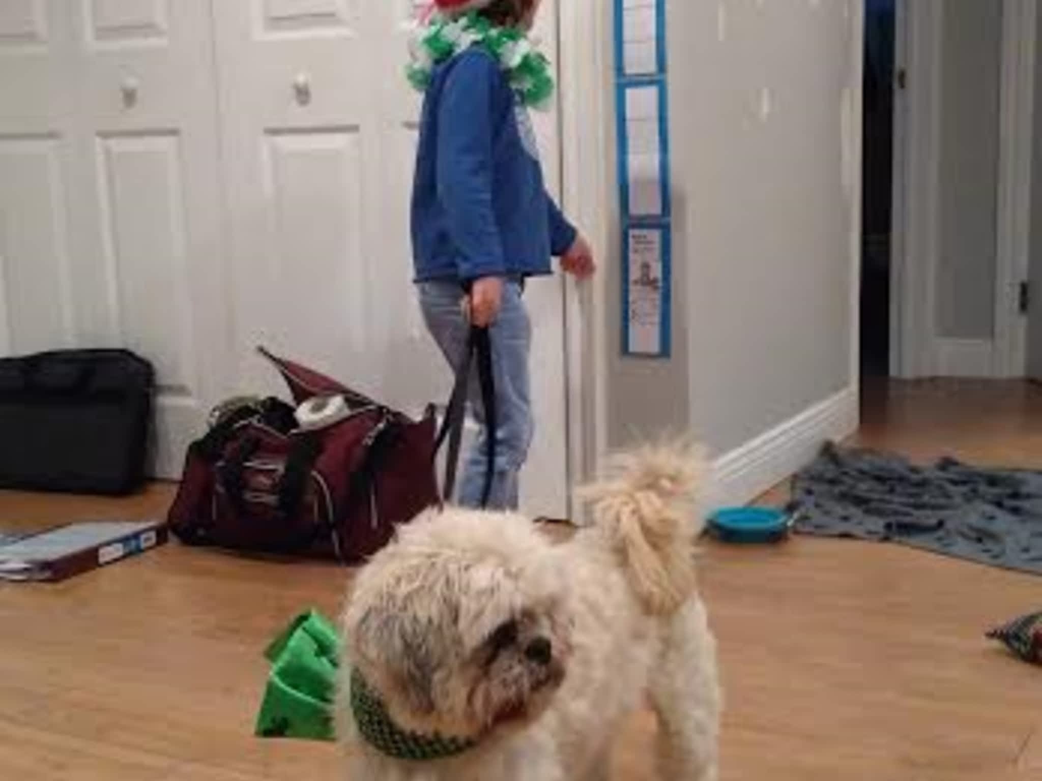 photo Services d'Interventions Mélissa Robitaille