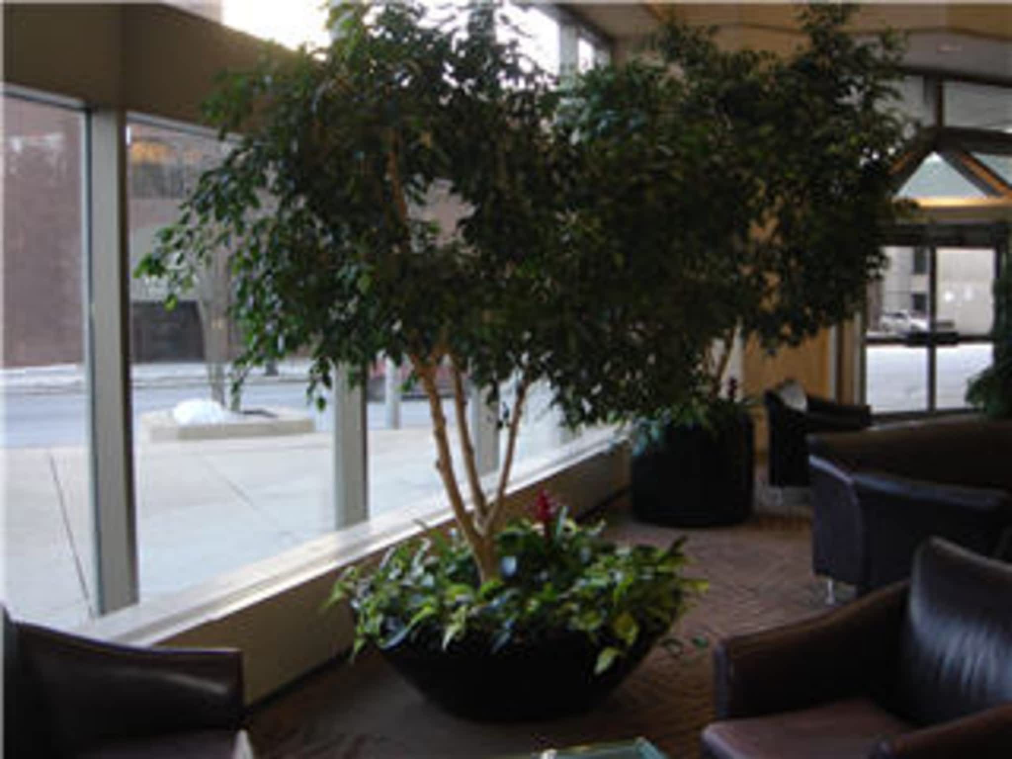 photo Alberta Tropical Plants Ltd