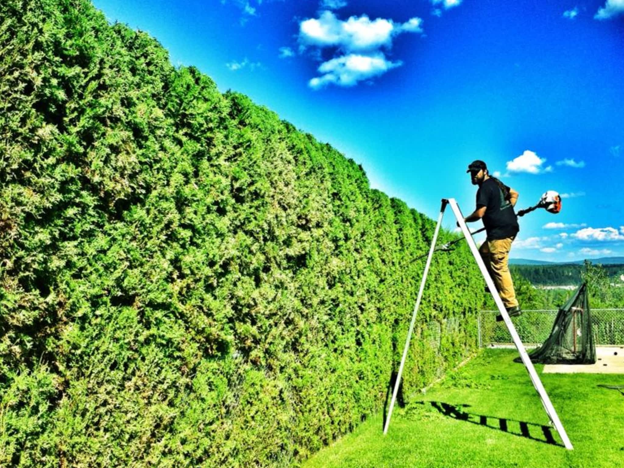 photo Bednesti Tree Services Inc