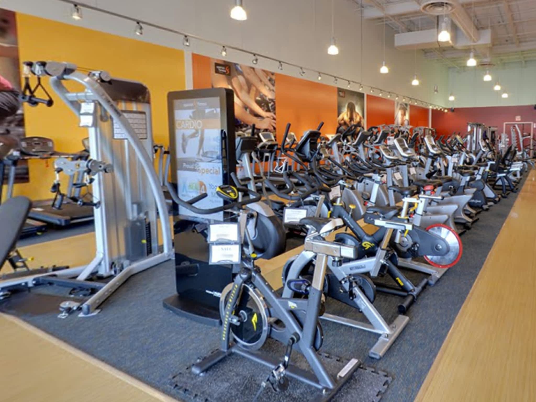 Spartan Fitness Equipment Canpages