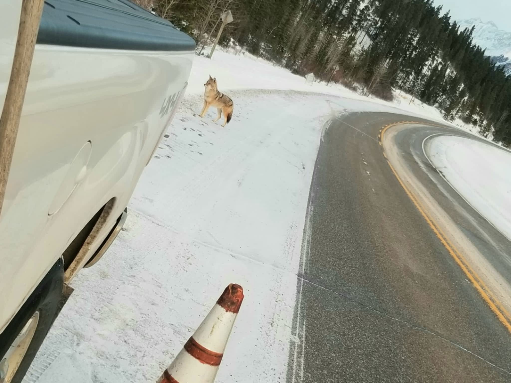 photo Shield Traffic Control