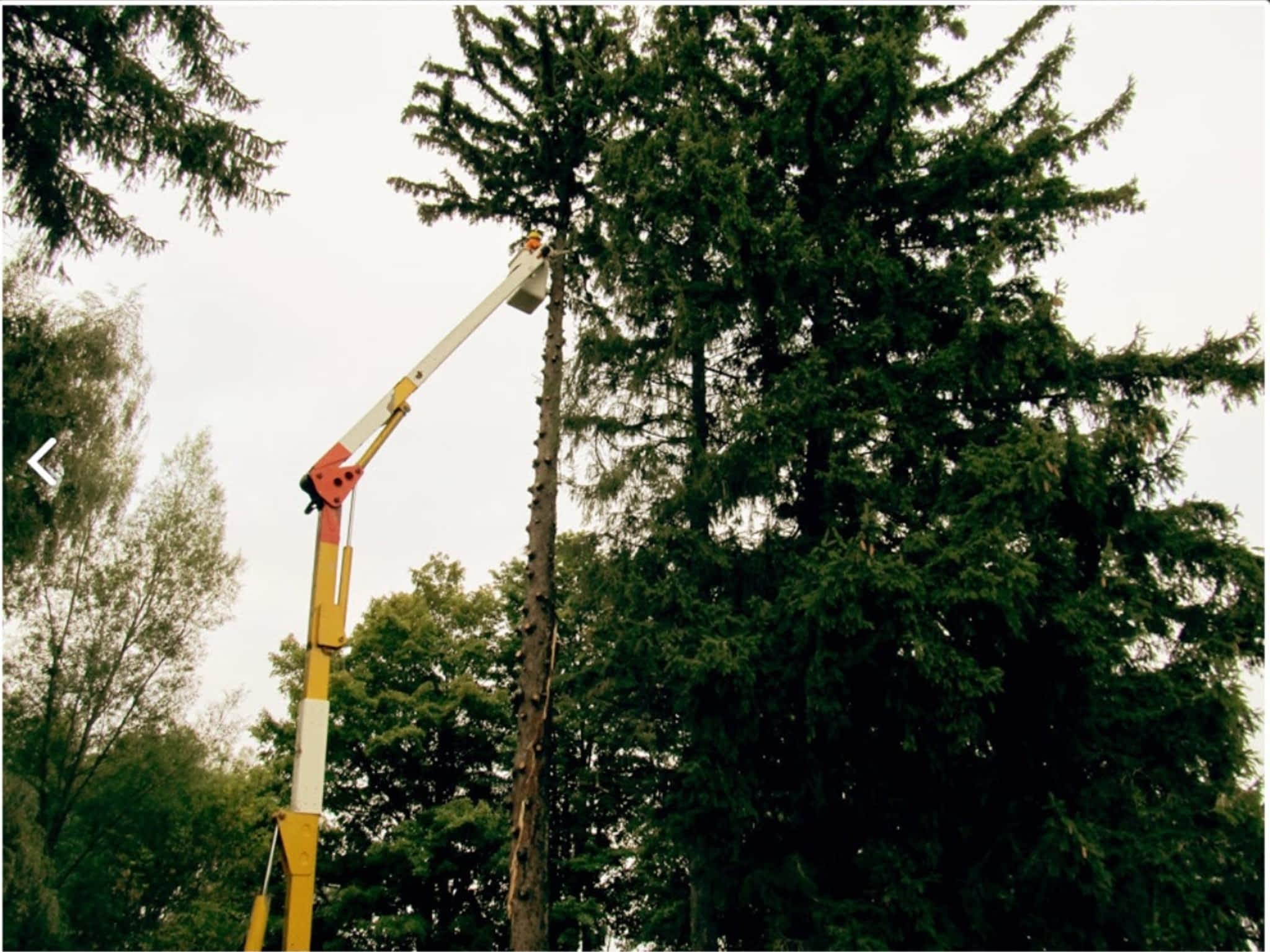 photo Cutting Edge Tree Services