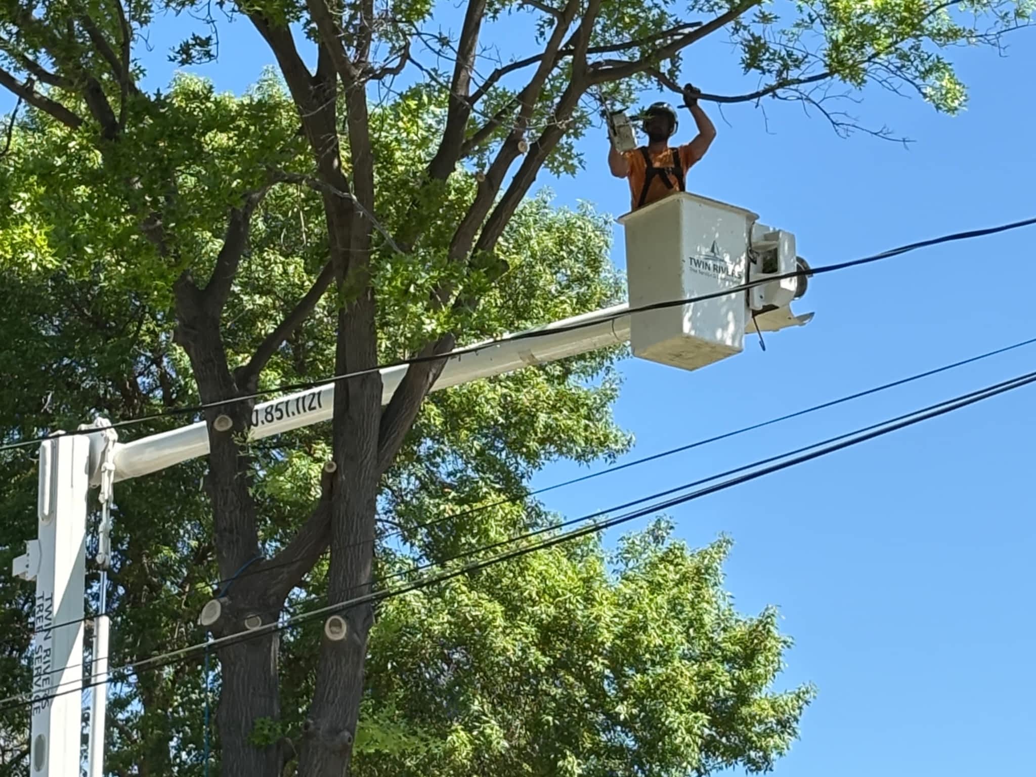 photo Twin Rivers Tree Service and Landscaping - Frase r Valley