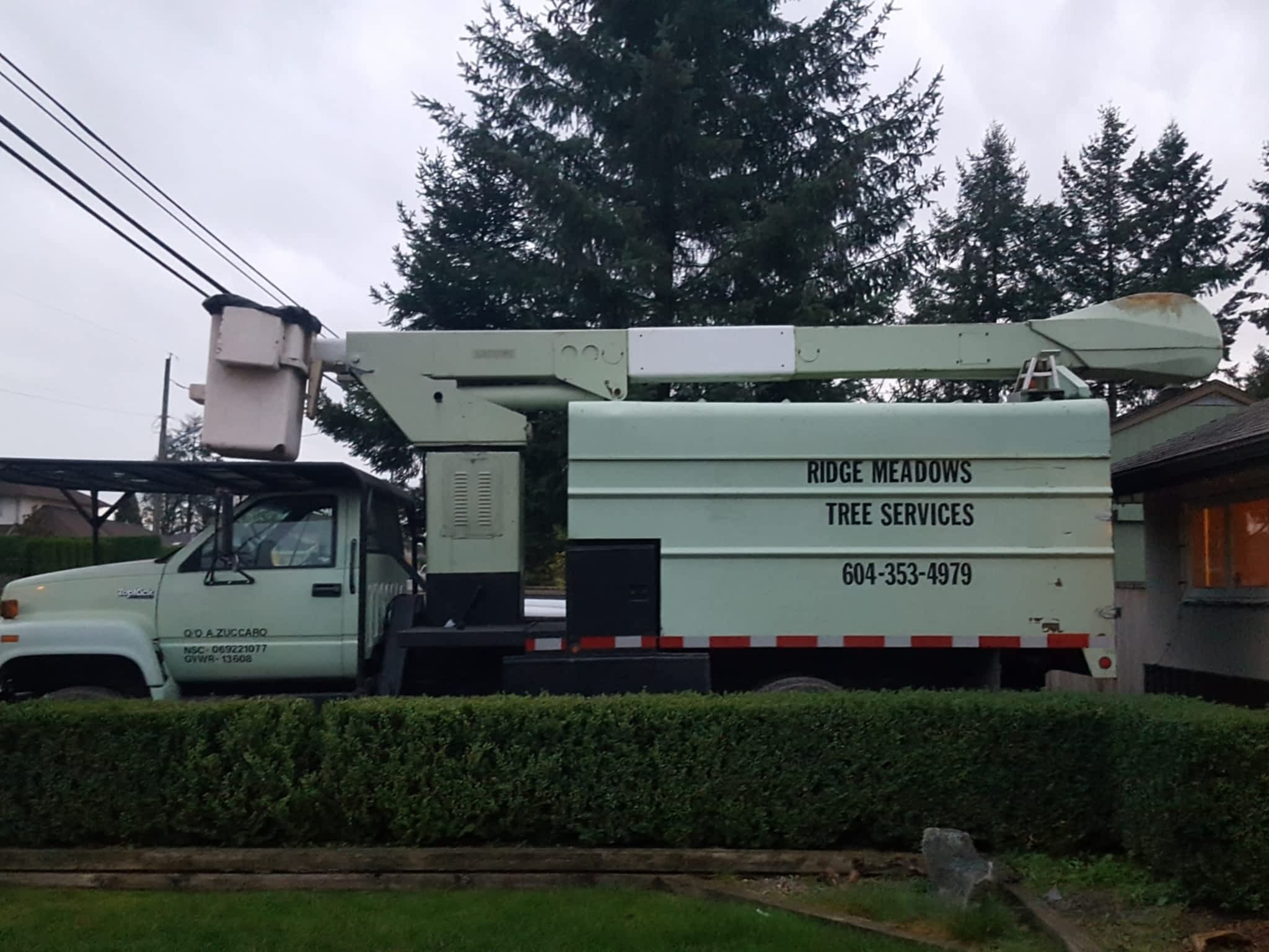 photo Ridge Meadows Tree Service LTD 2.0